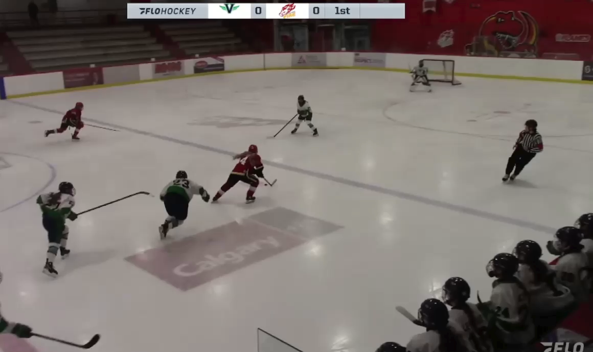 Charlotte McDonough's Incredible Save vs Calgary Fire U18AAA