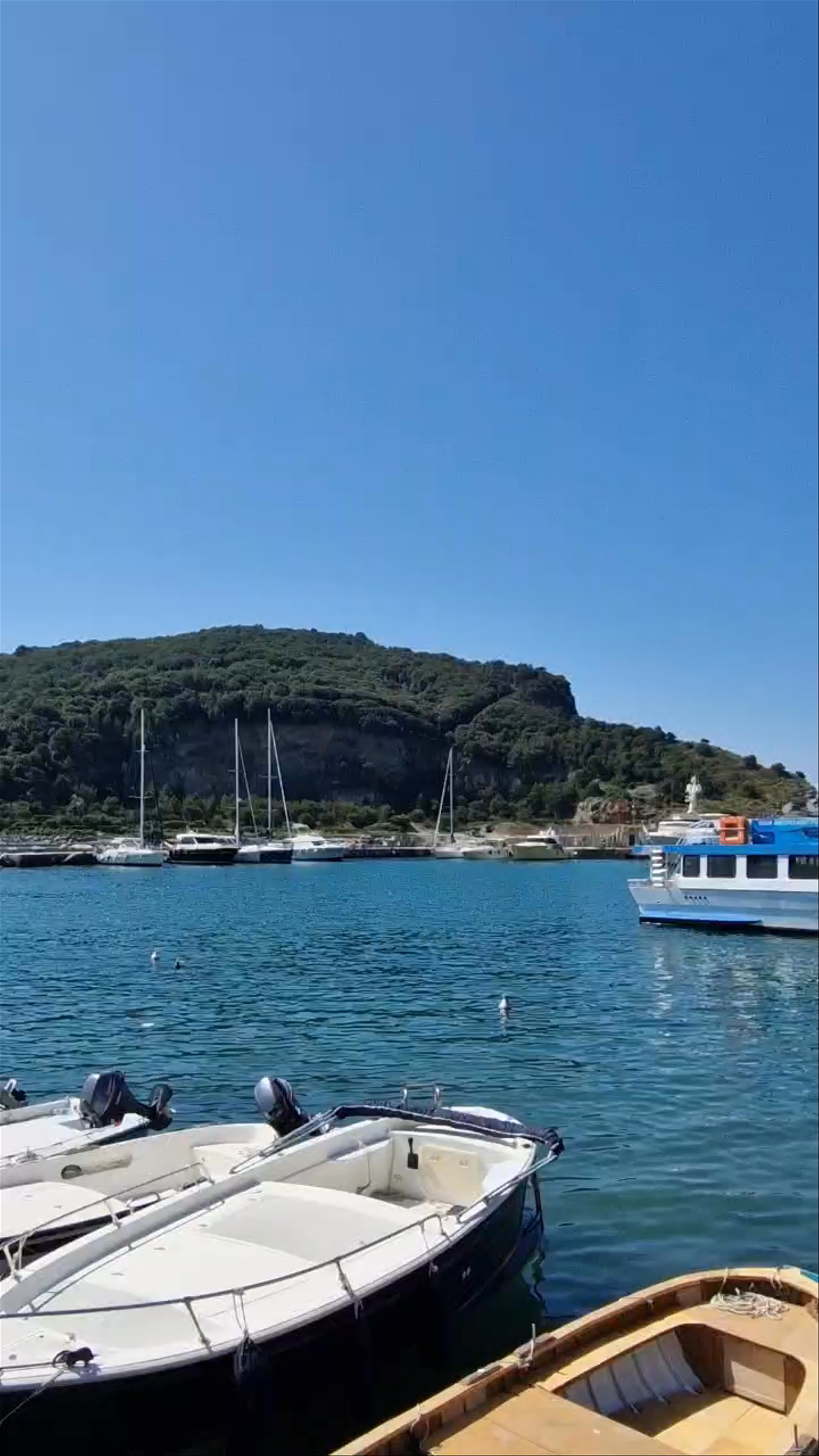 Sunlit Harbor Views at Lerici, Italy's Charming Coastal Gem