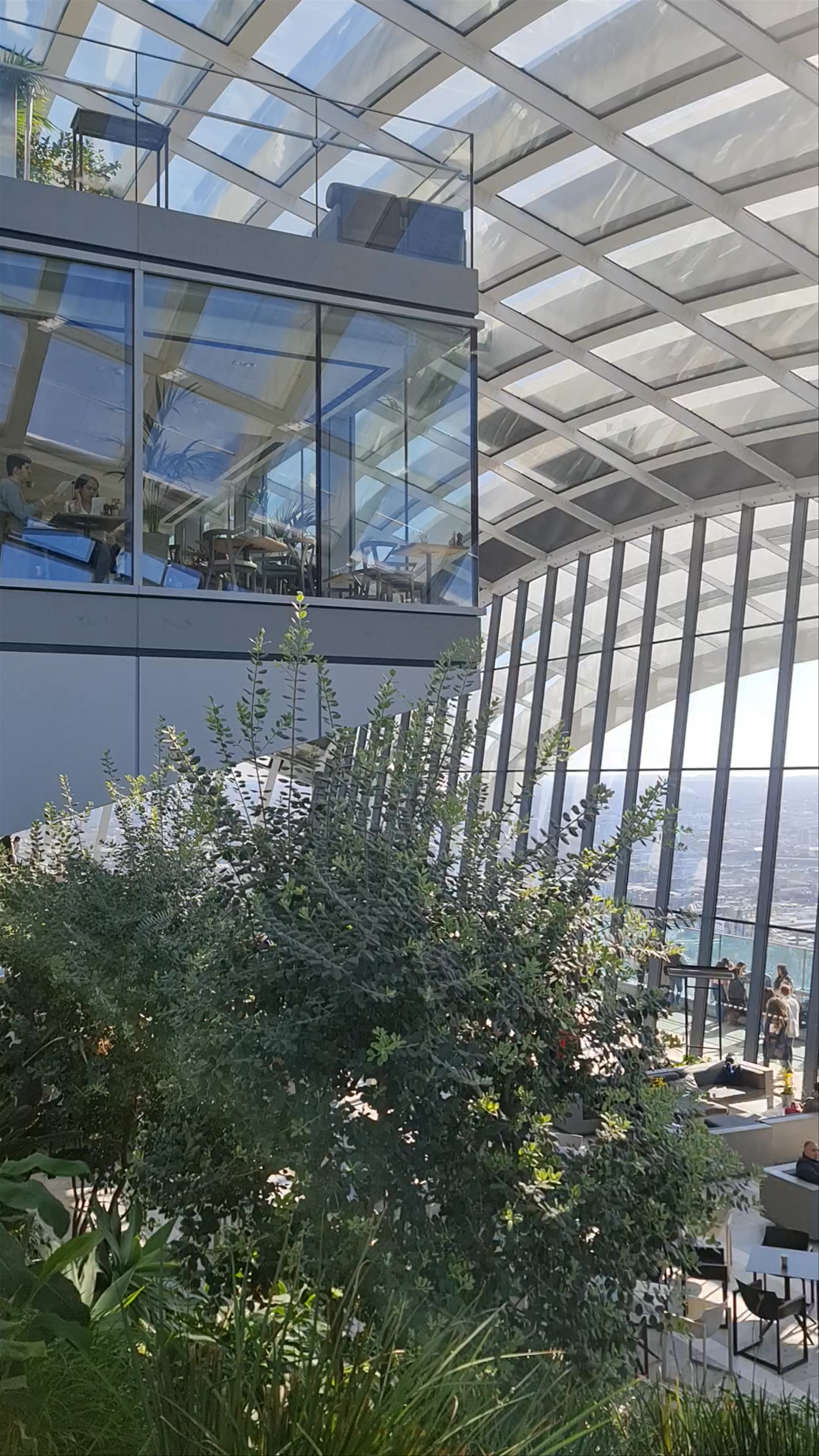 Sky Garden London: A Thriving Urban Oasis with Spectacular Views