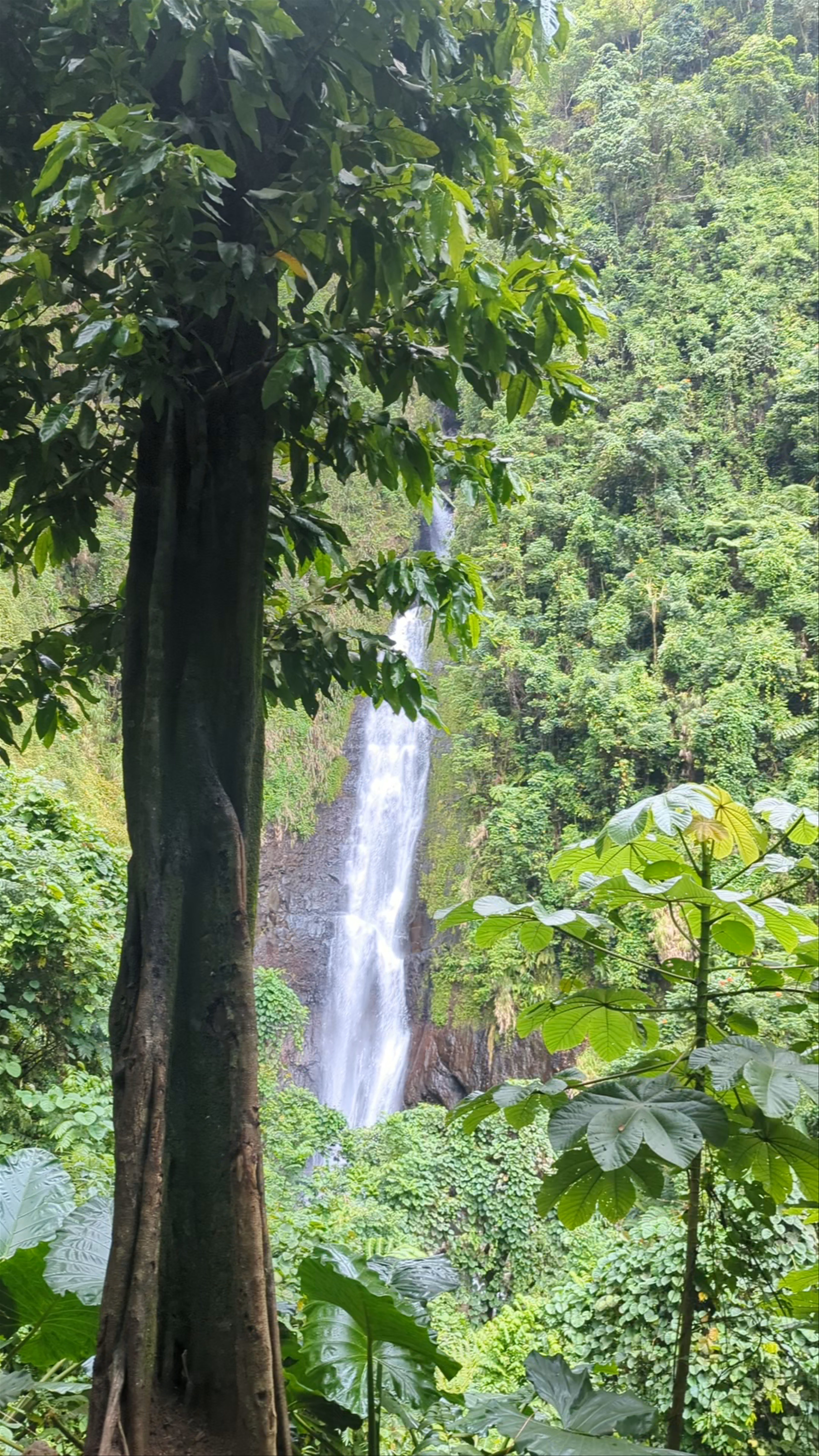 Fa'aruma'i Waterfalls