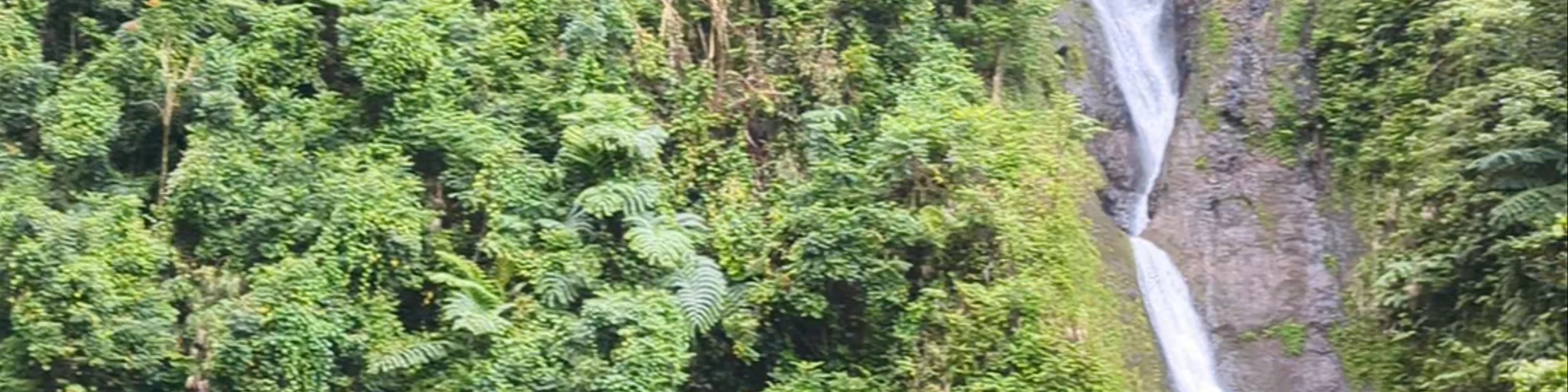 Fa'aruma'i Waterfalls