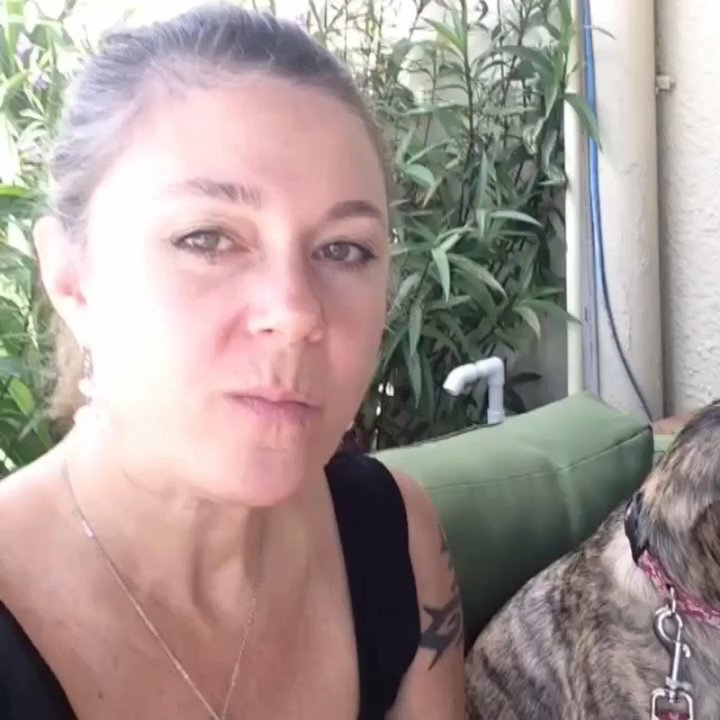 Cafe Evergreen - Family seating even for four pawed furry babies. - Juice Bars & Smoothies Near Me - Nokomis, Florida