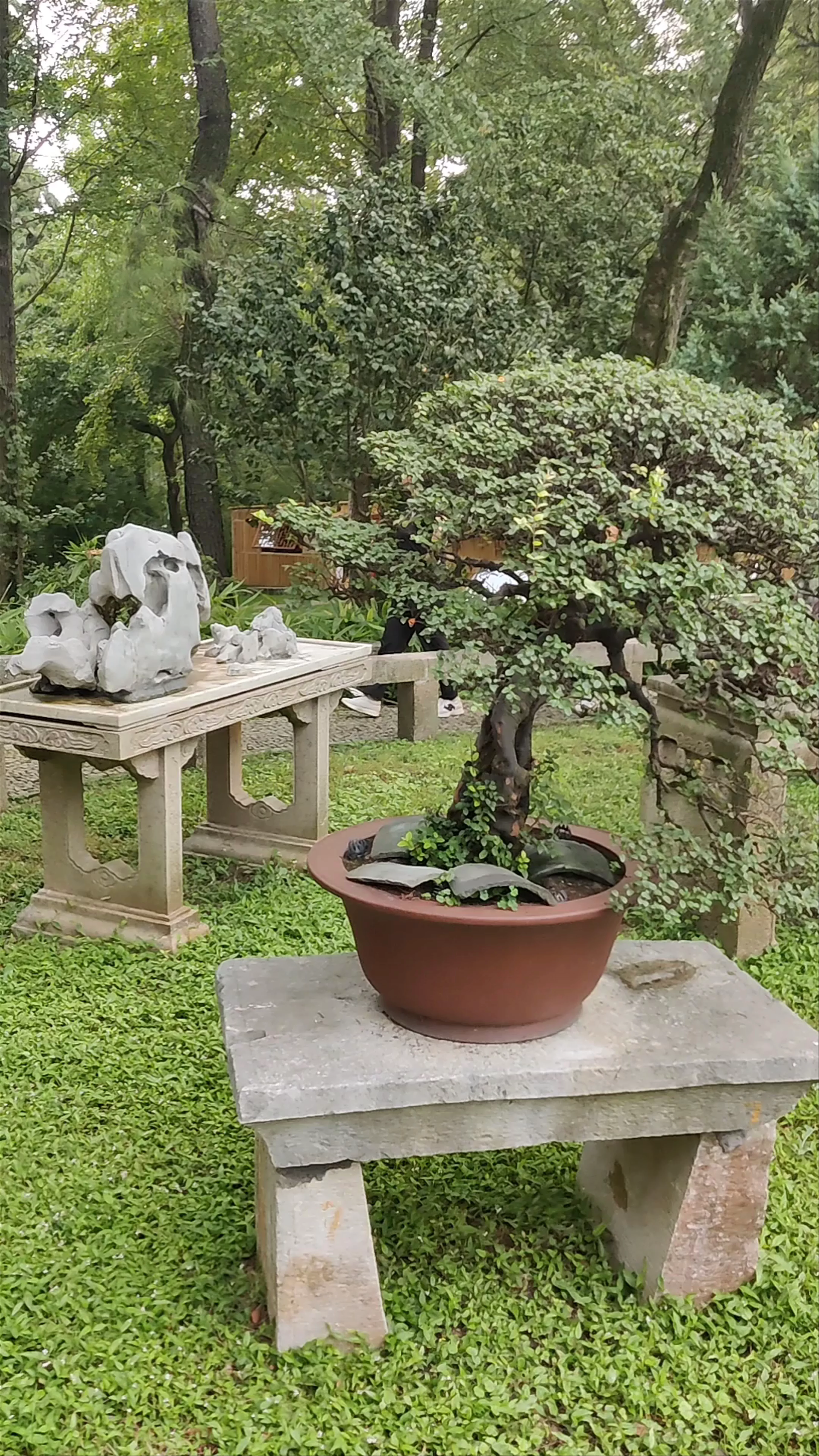 Tiger Hill Garden, Jin Cang District