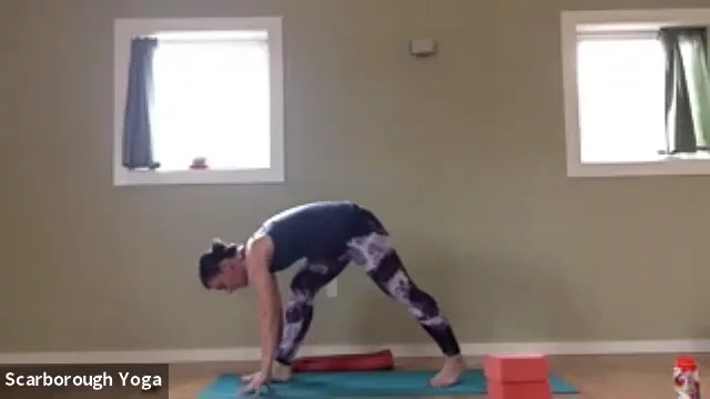 Vinyasa with Kristine