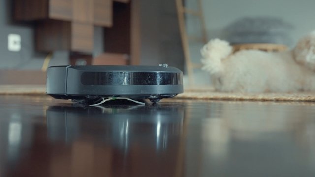 A dog fascinated by a robot vacuum cleaner in the living room