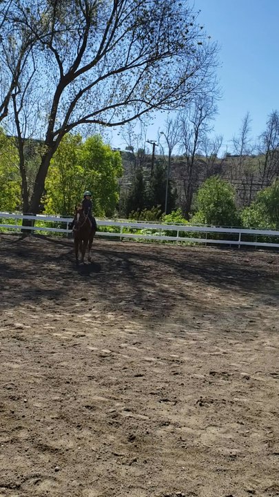 Fun With Horses - Young kids can learn confidence, coordination, cooperation through riding. - Horseback Riding Near Me - Brea, California