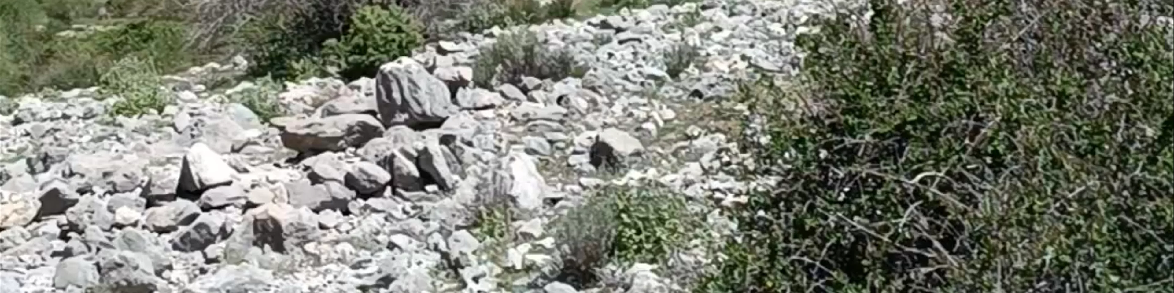 Sendero Nacimiento del Río Castril
