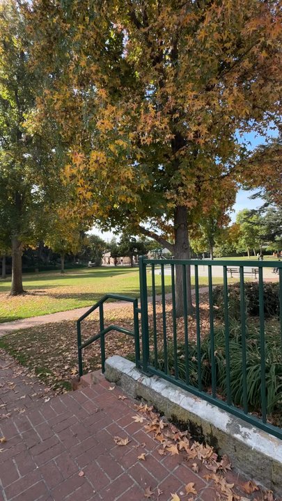 Penn Park - Beautiful tree's during the fall - Parks Near Me - Whittier, California