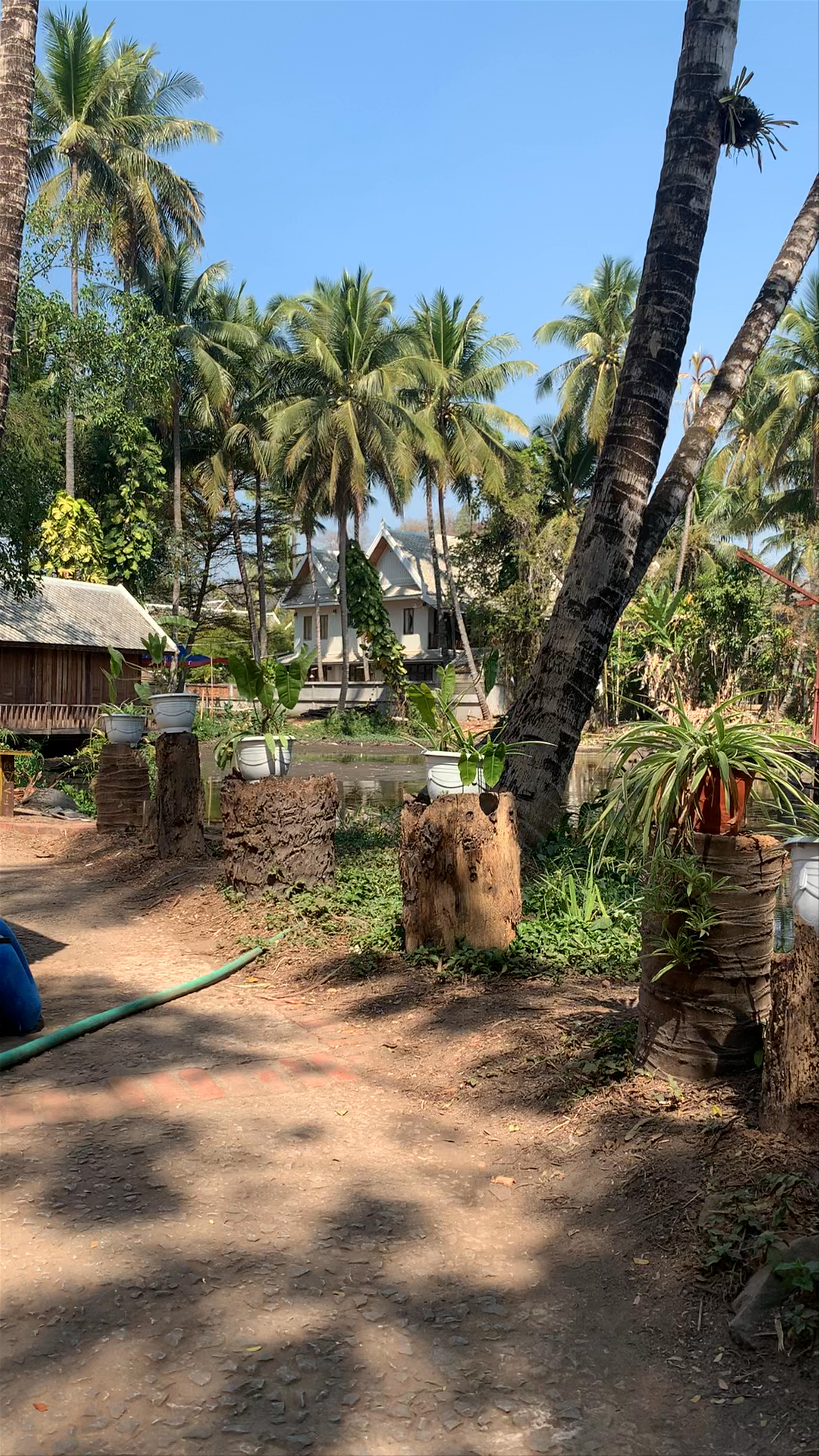 Coffee Express: Serene Riverside Escape in Luang Prabang, Laos