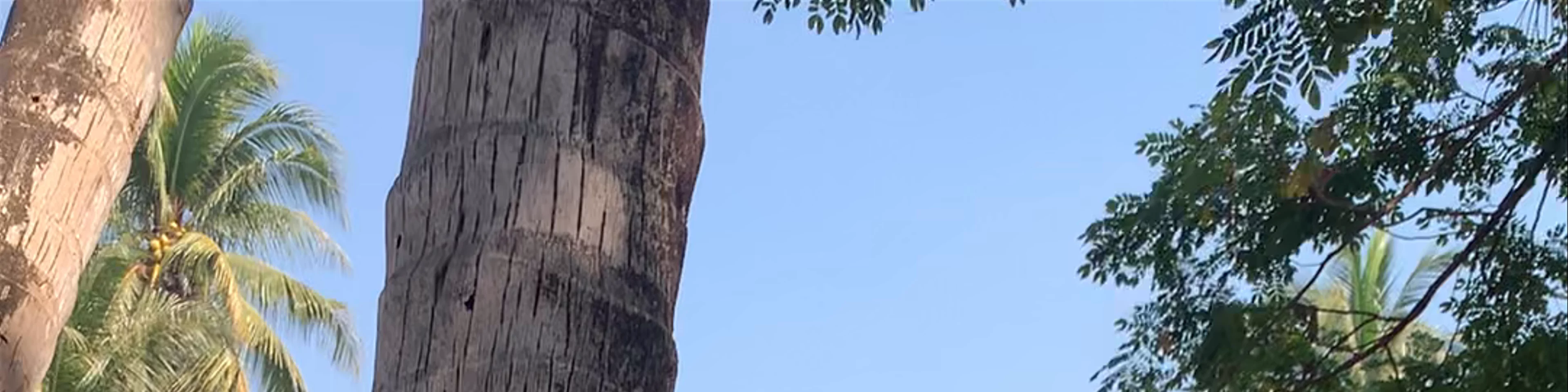 Laos