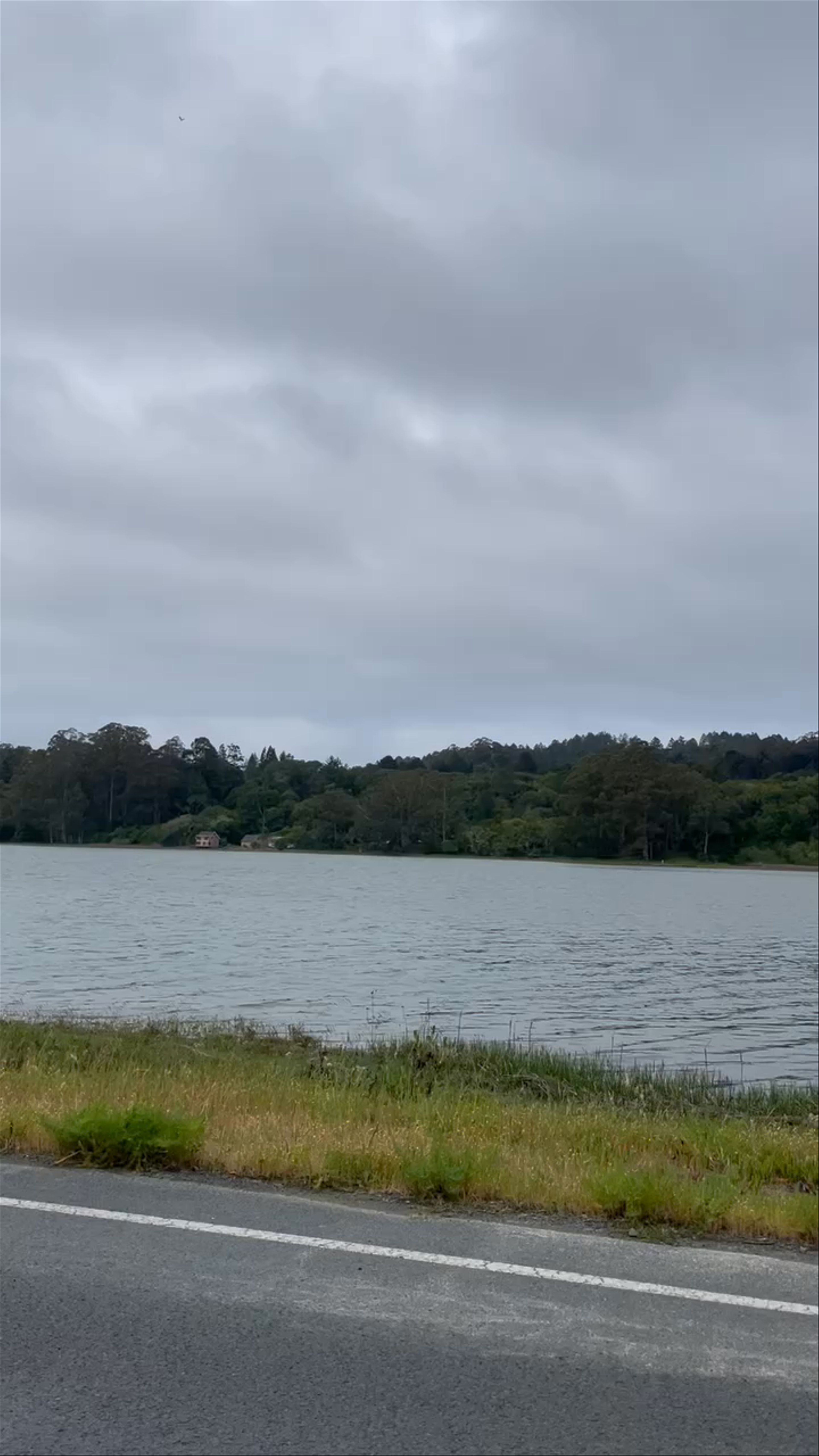 Serene Drive Along Bolinas Lagoon Nature Preserve