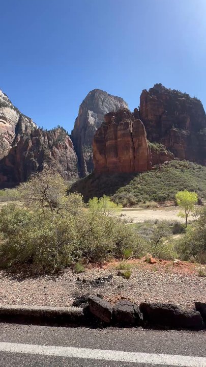 Outta Here eBikes - Riding through Zion on our Rad Power bikes from Outta Here! - Bike Rentals Near Me - Springdale, Utah