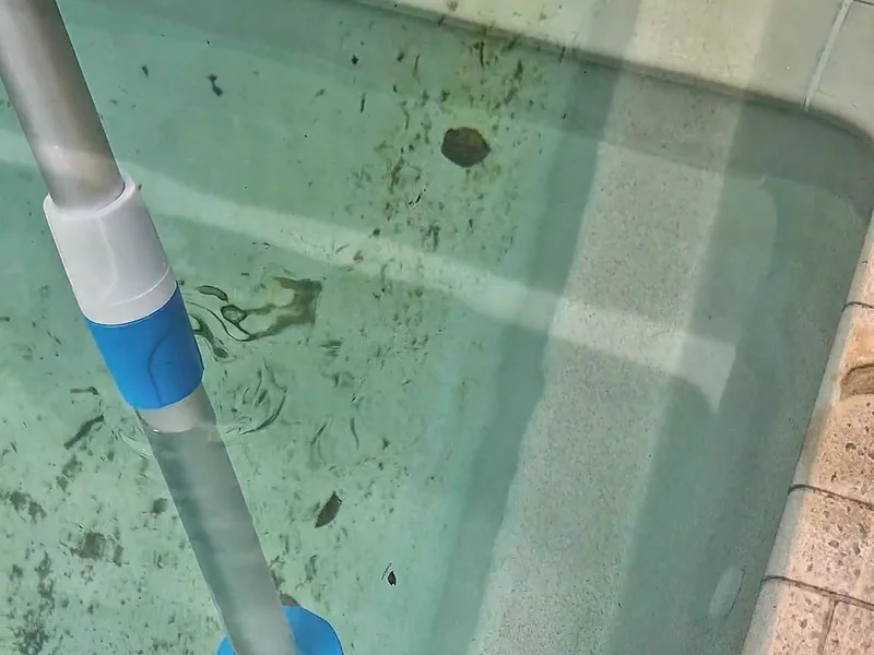 Pool cleaning made easy