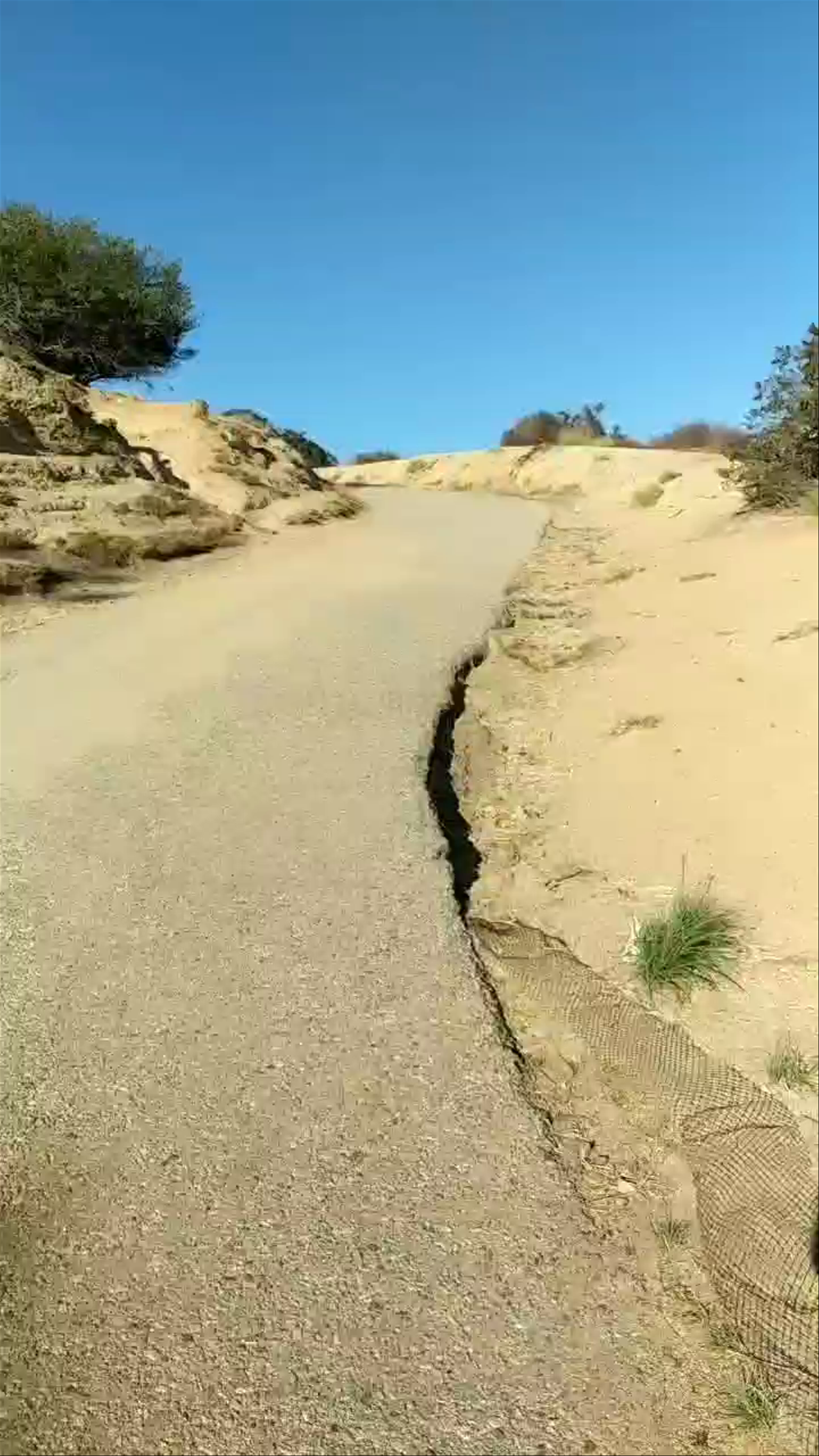 Hollywood Sign