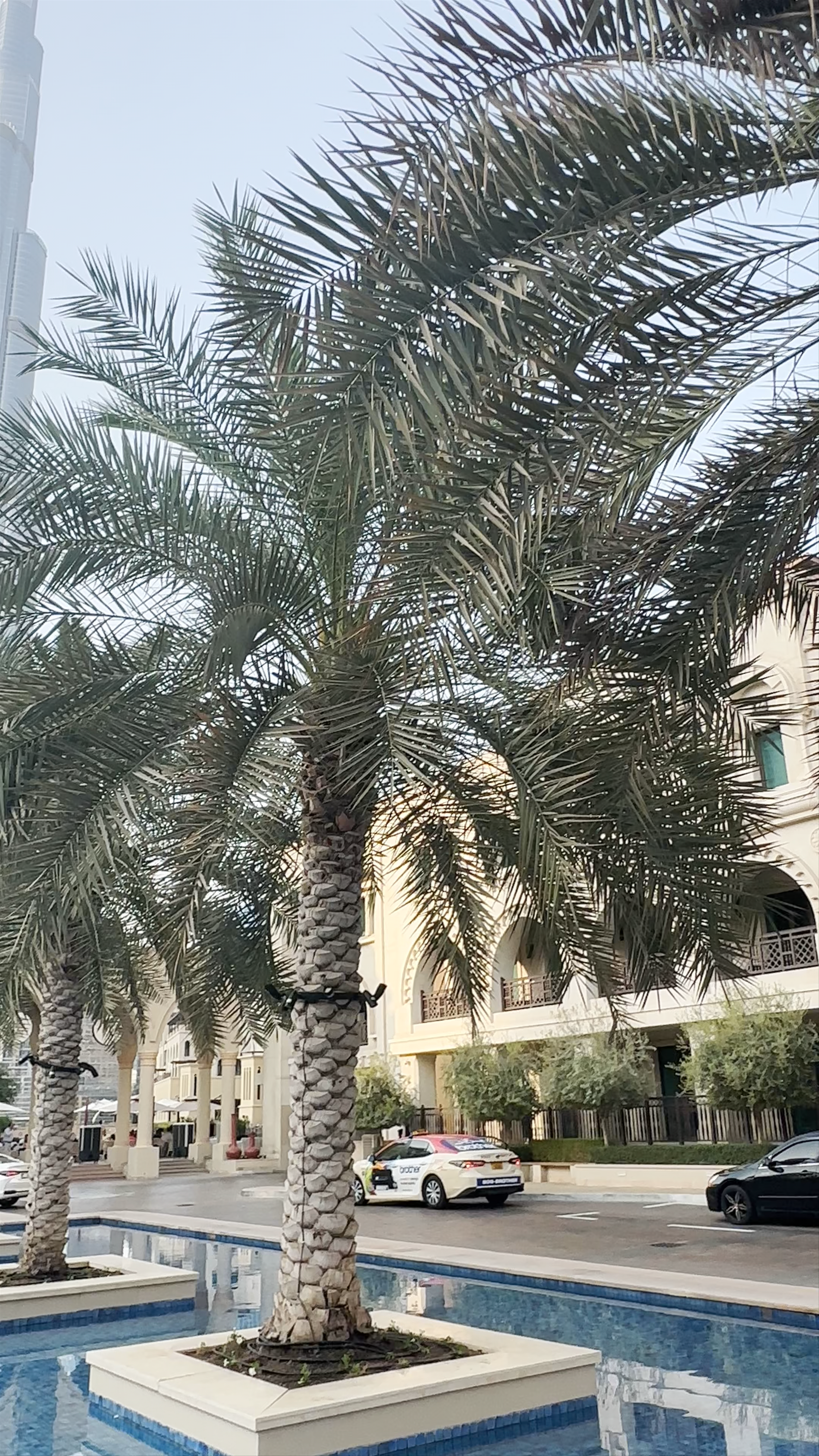 Palace Downtown - Sheikh Mohammed bin Rashid Boulevard - Dubai - United Arab Emirates