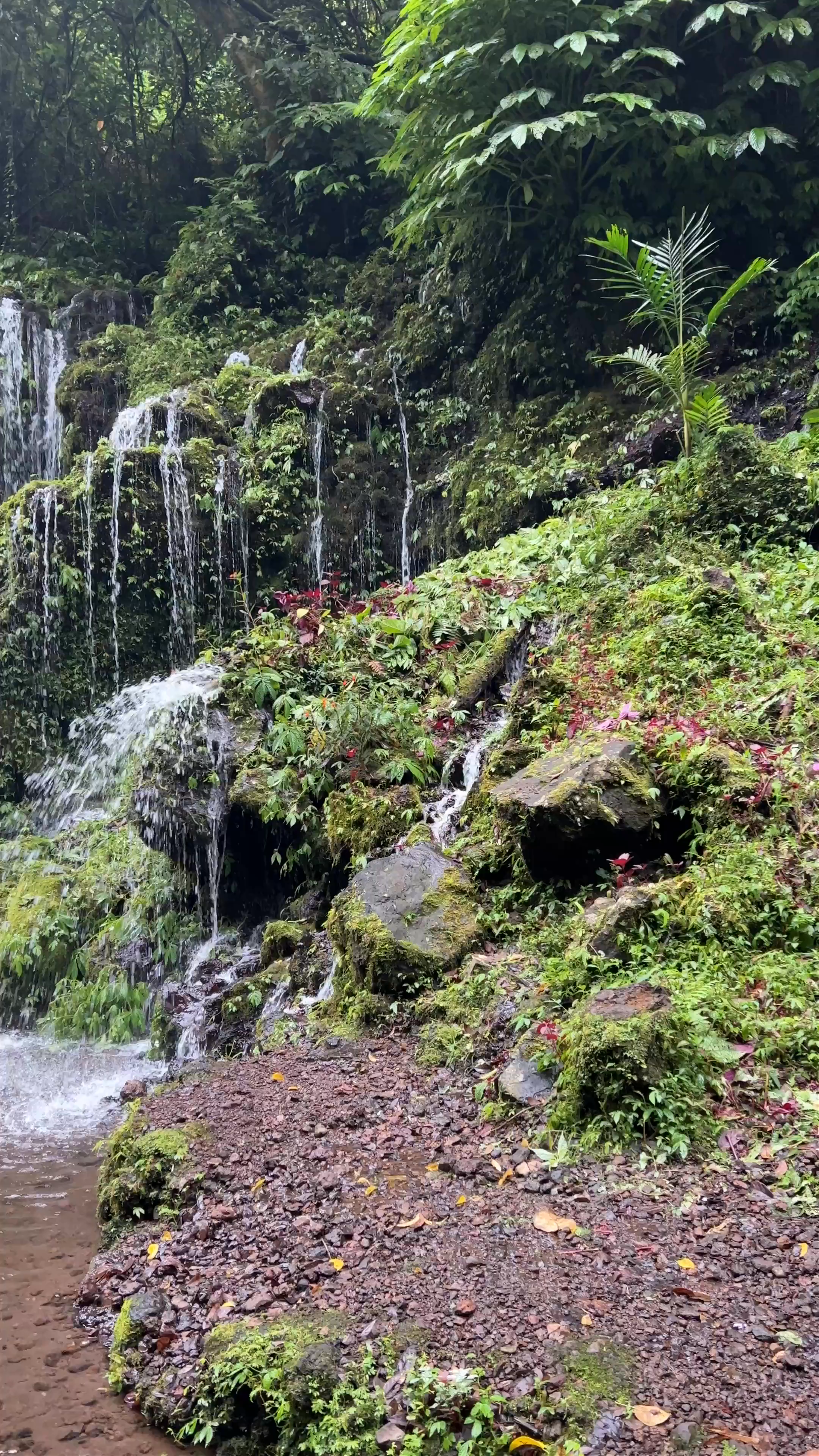 Banyumala Waterfall: A Hidden Tropical Oasis in Bali