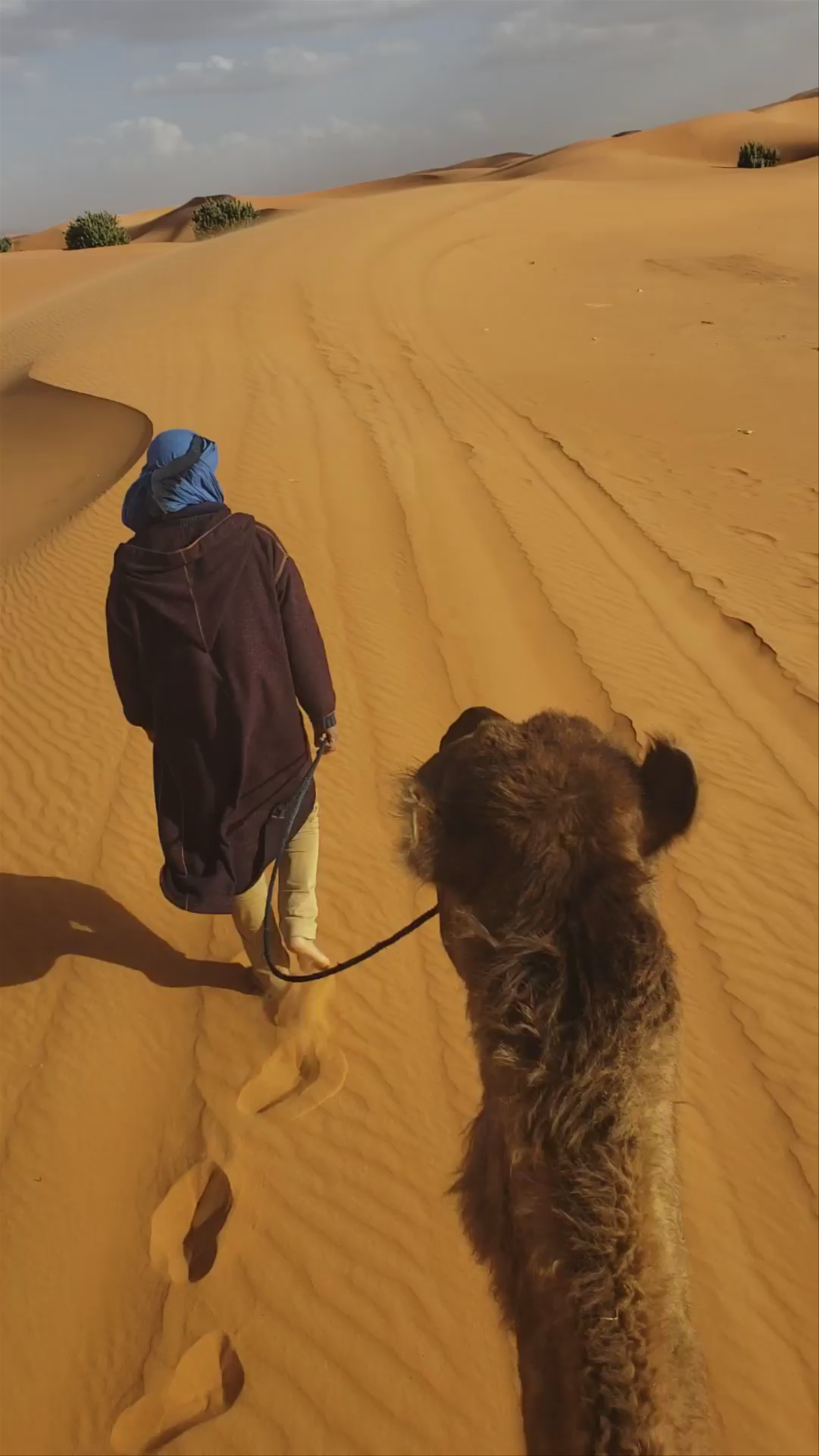 Afritrip Advisors Morocco