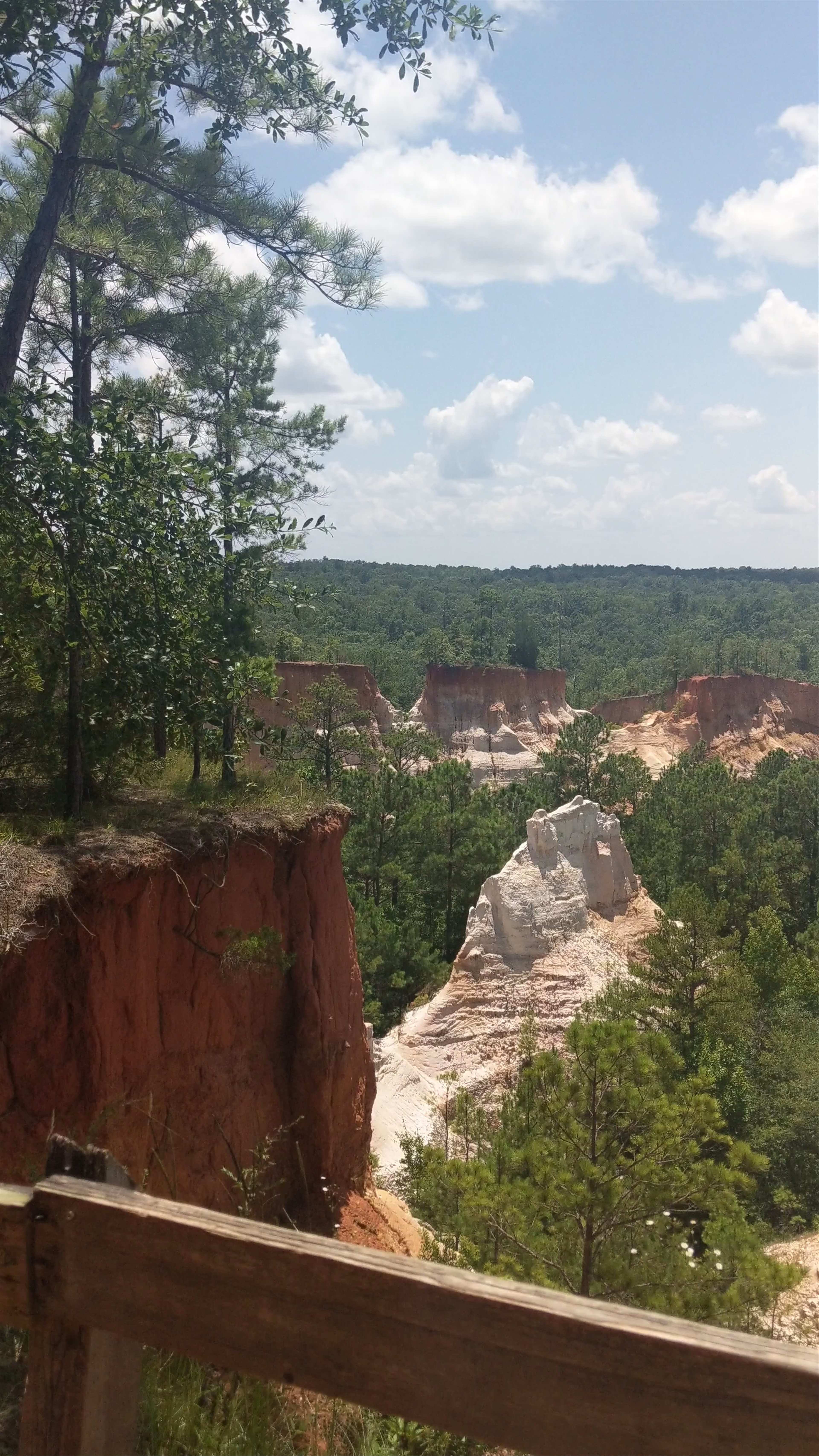 Providence Canyon - The "mini grand canyon"