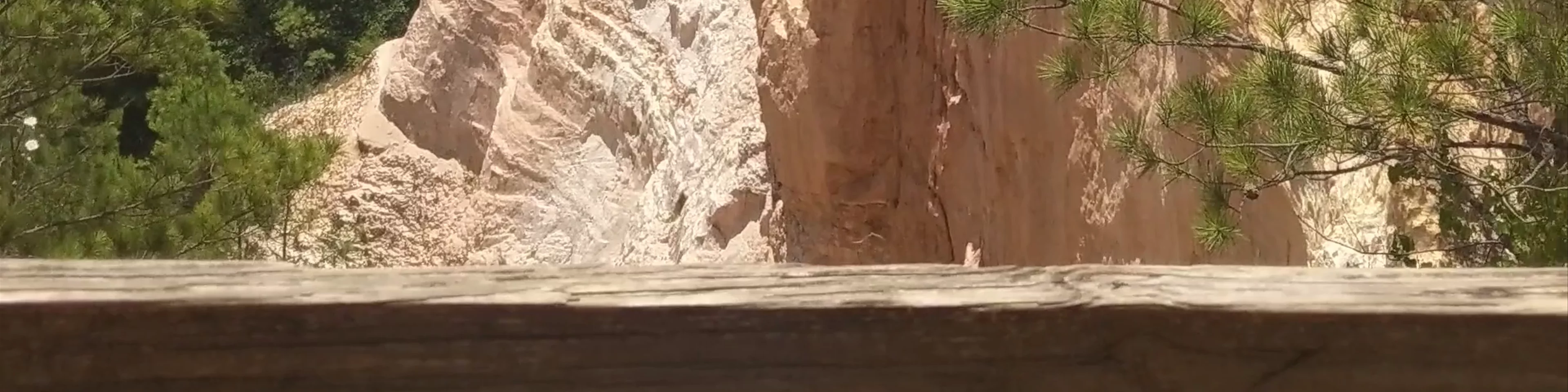 Providence Canyon - The "mini grand canyon"
