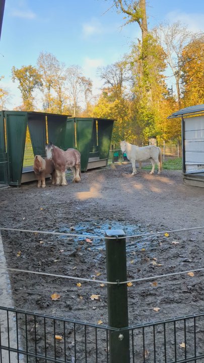 Tierpark Lange Erlen - Zoos Near Me - Basel, BS