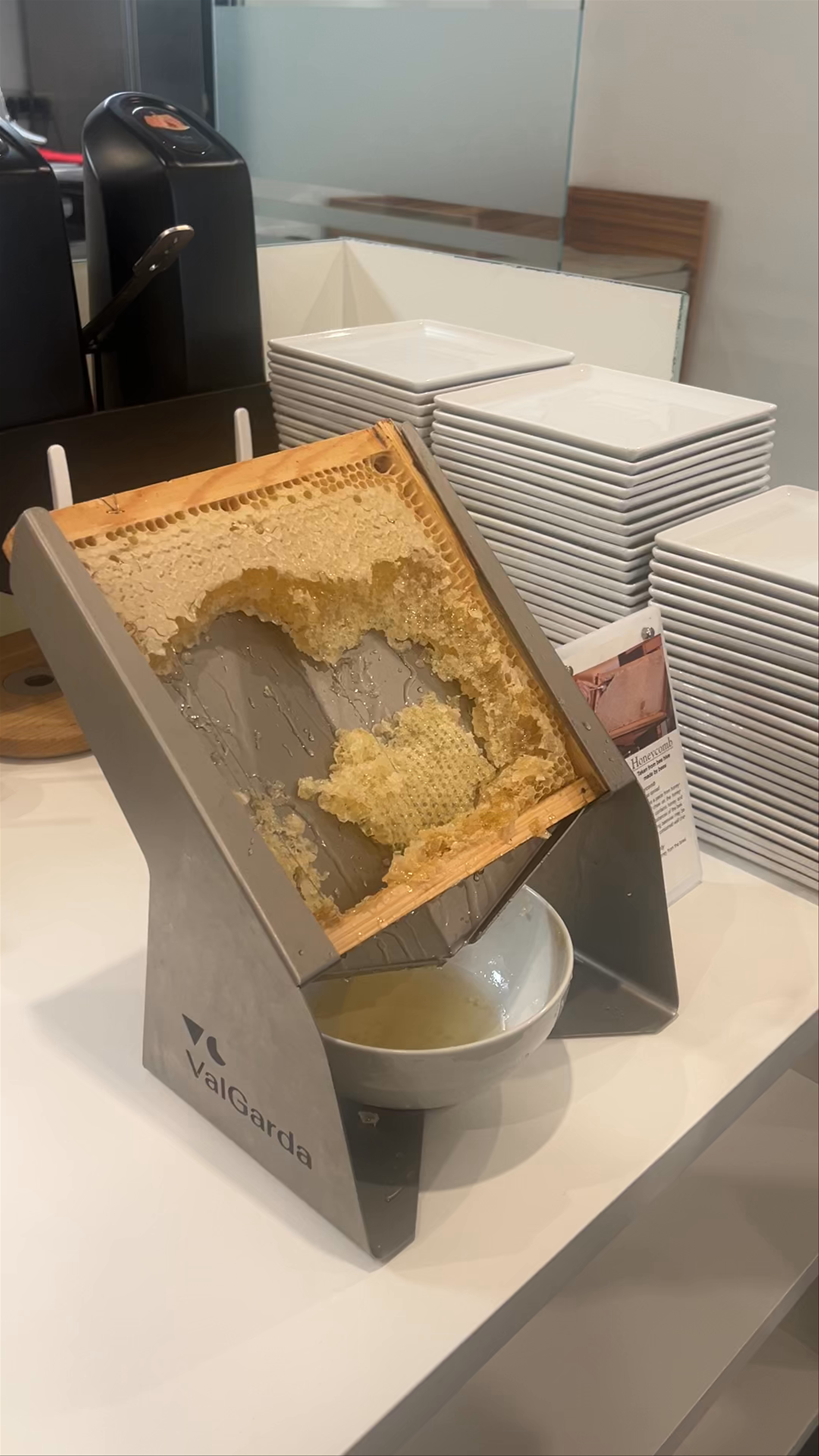 Hotel Europa Executive