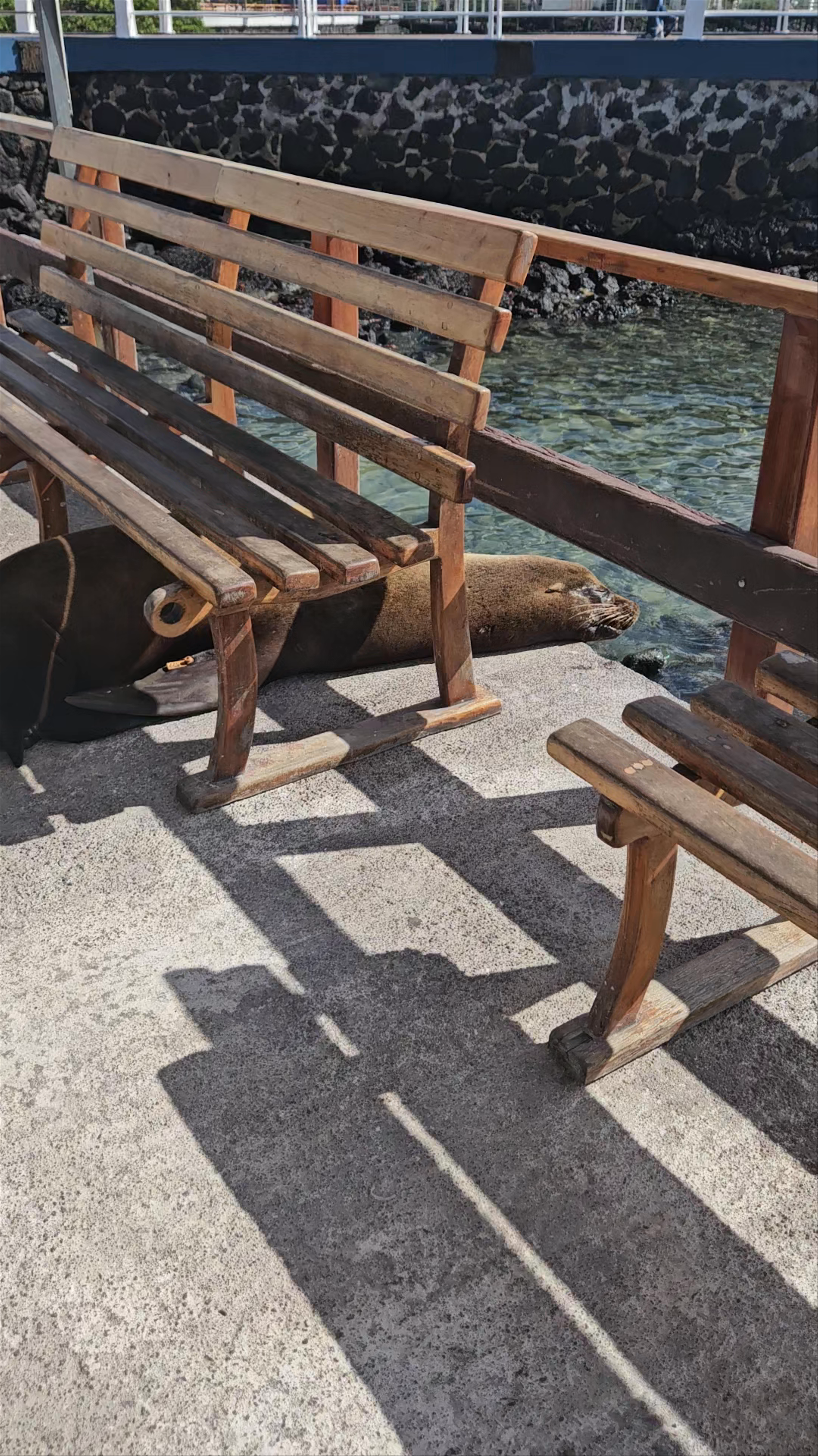 Malecón de San Francisco