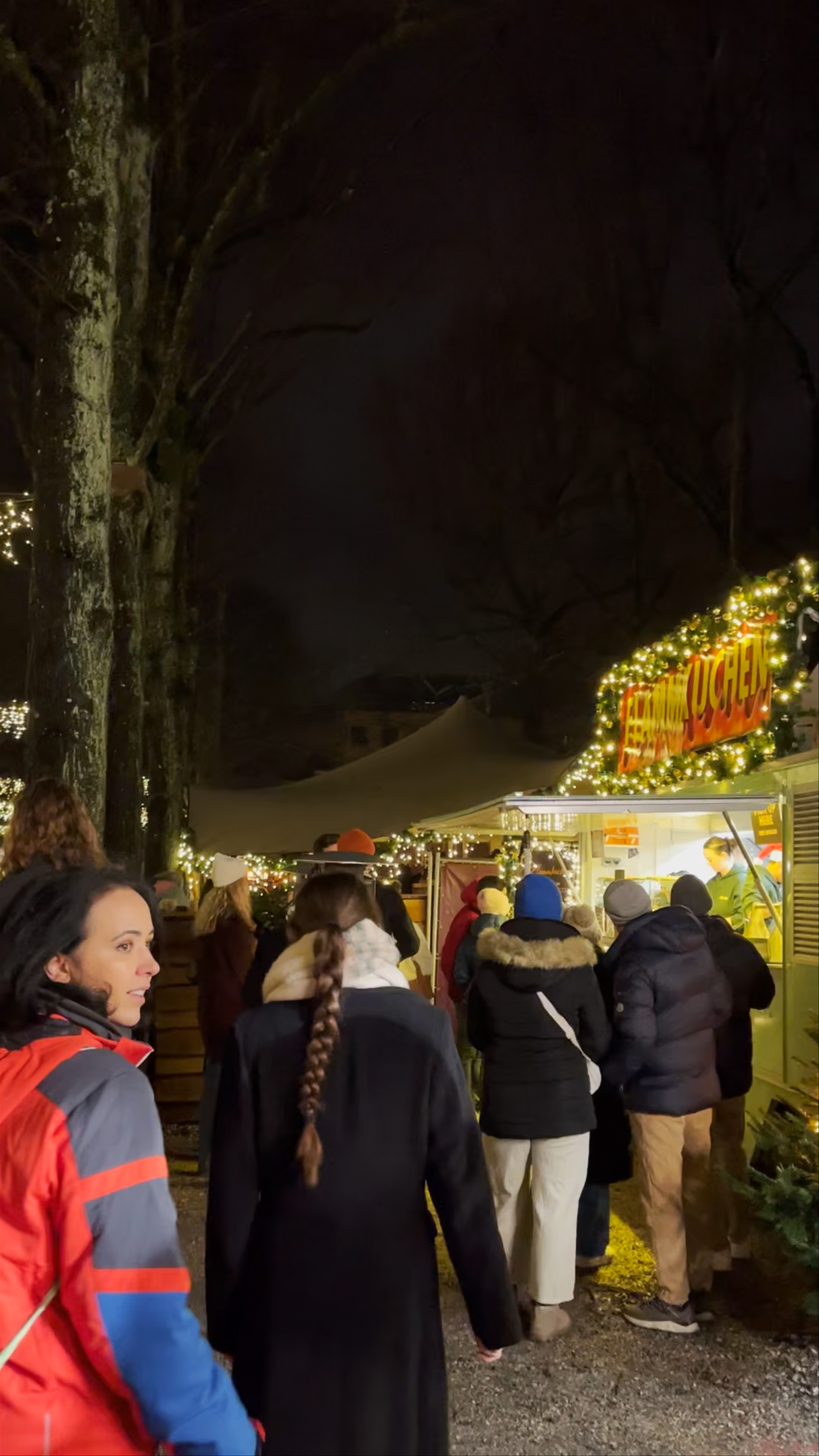 Royal Christmas Fair: Magical Winter Nights at Lange Voorhout, The Hague