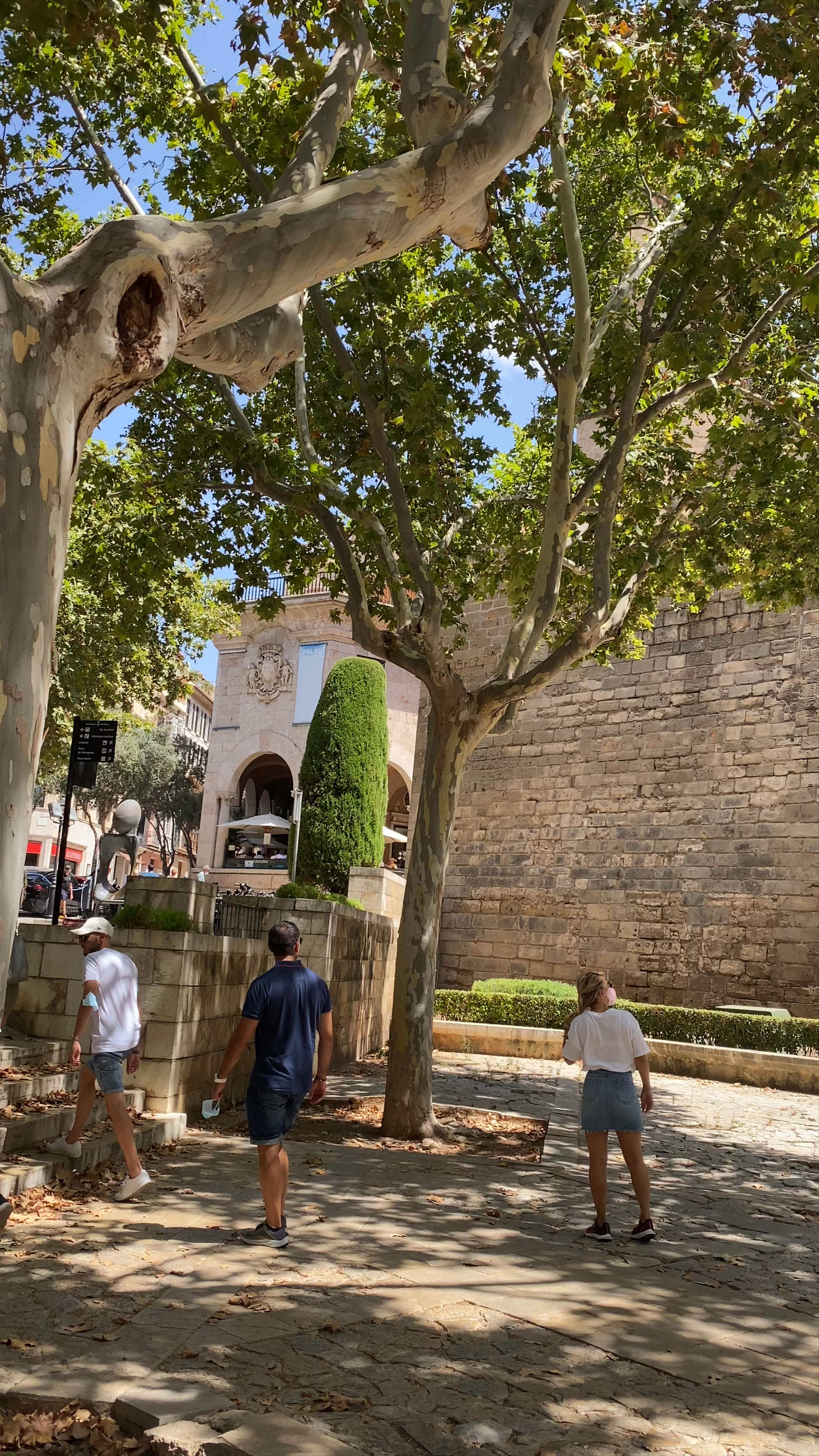 S'Hort del Rei: Serene Historic Stone Gardens in Palma, Spain