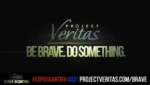 Video Thumbnail Loop