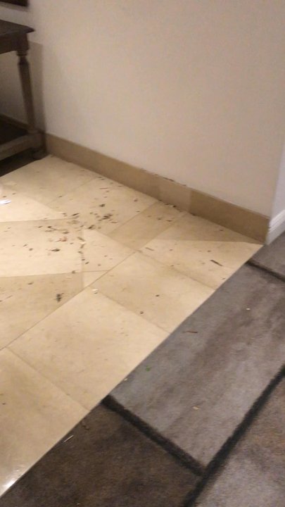 Palmetto Carpet - This is how the job was left... - Carpeting Near Me - Miami, Florida