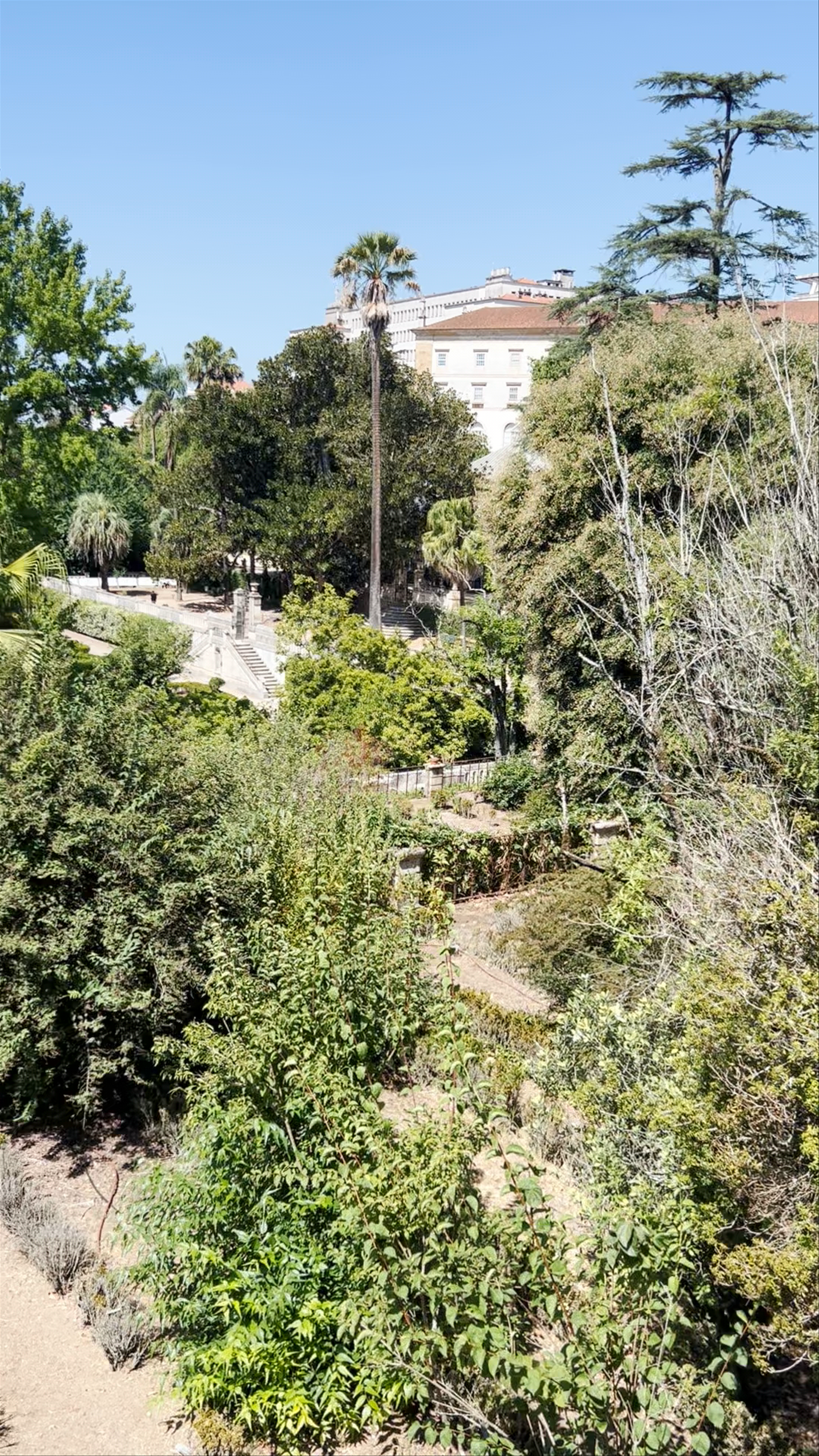 Jardim Botânico da Universidade de Coimbra