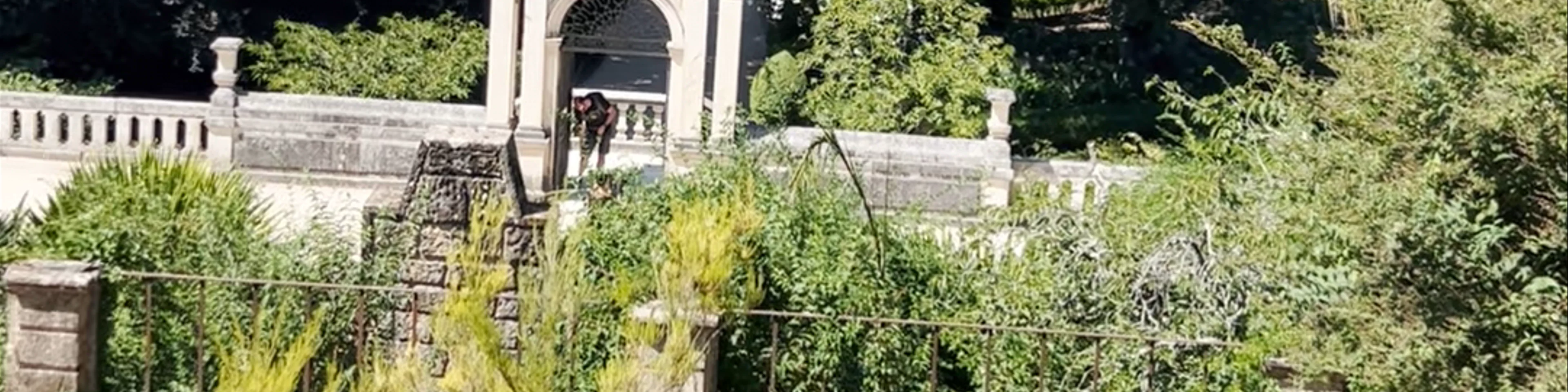 Jardim Botânico da Universidade de Coimbra