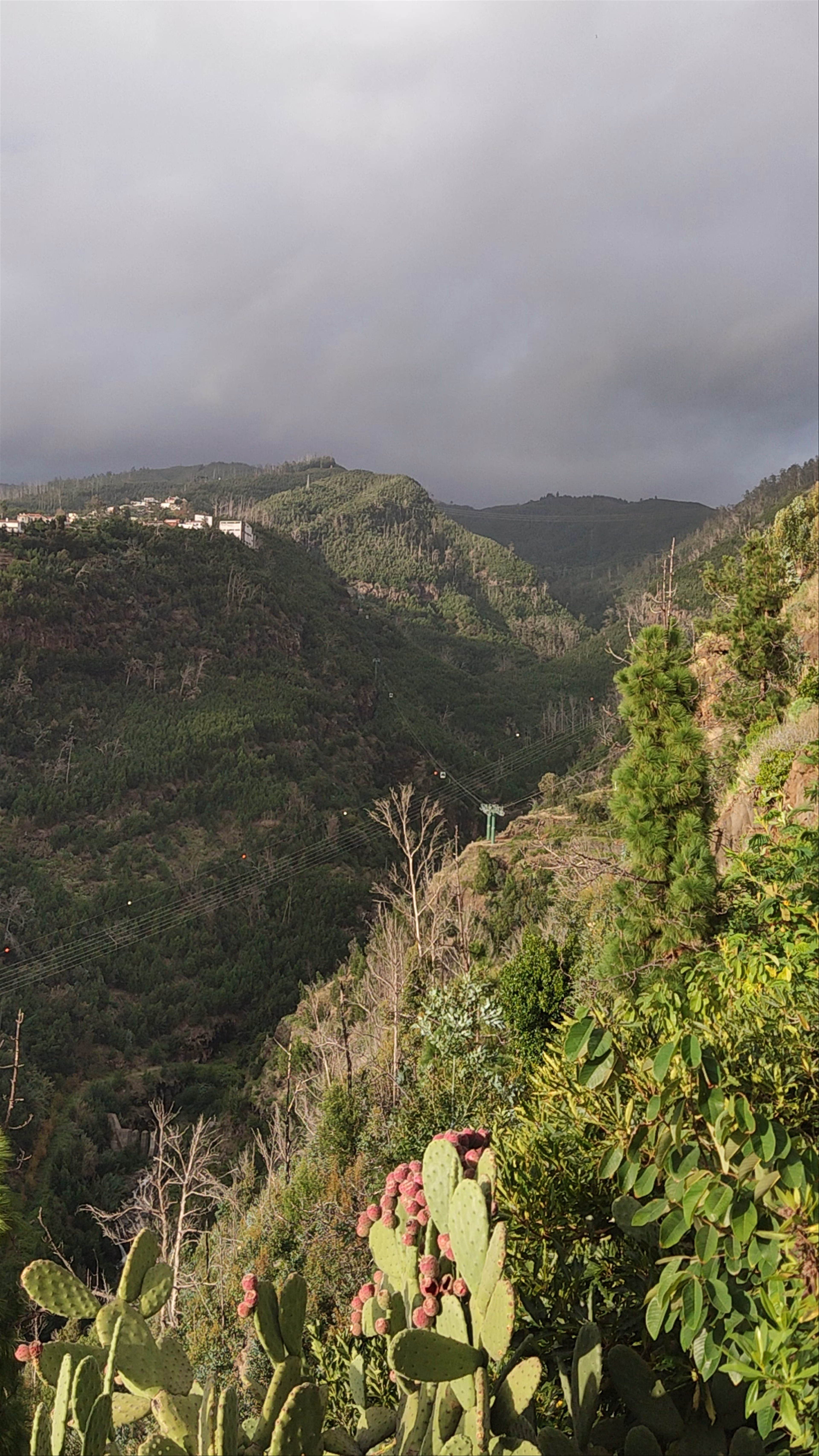 Jardim Botânico da Madeira