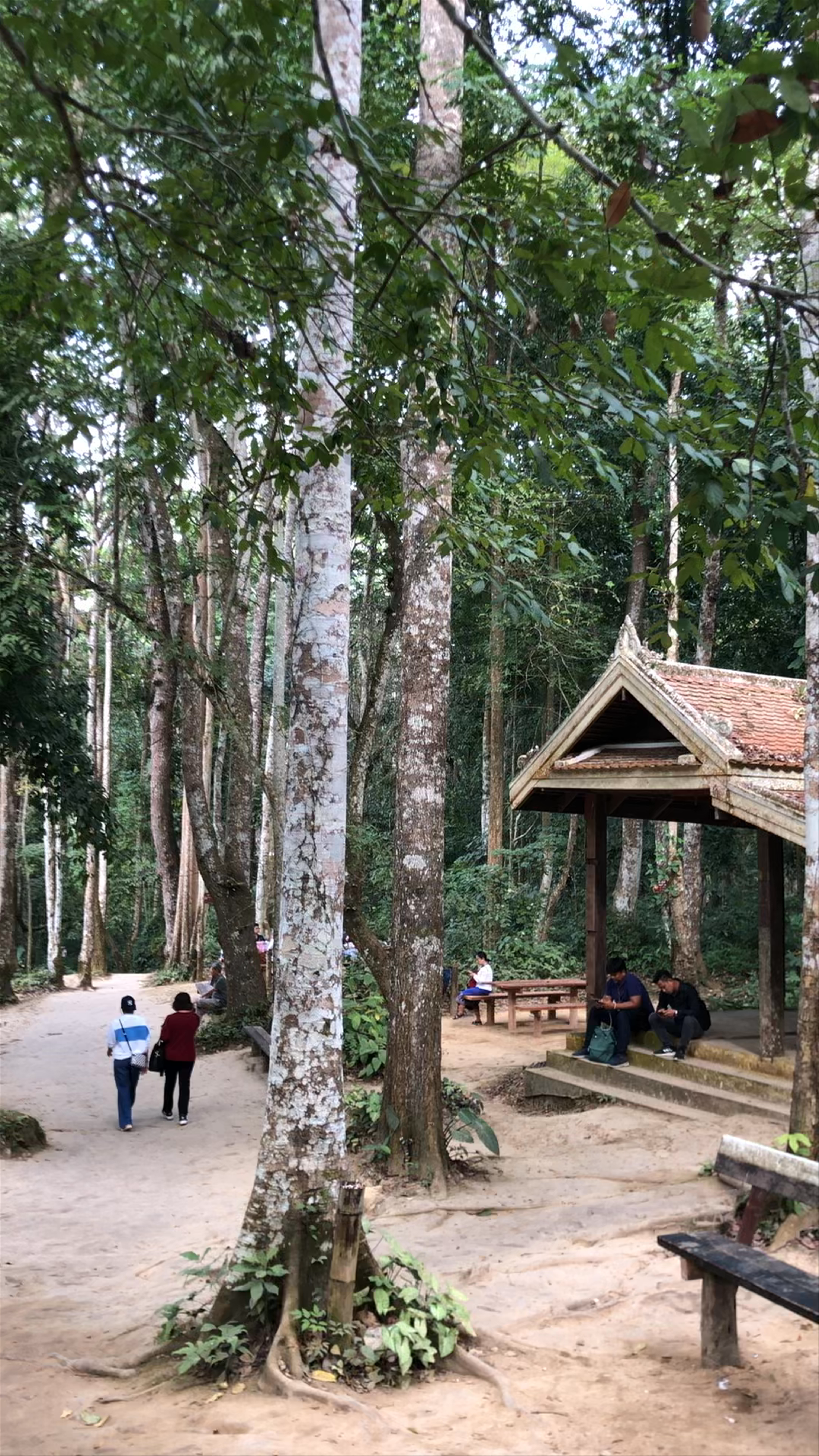 Kuang Si Waterfall Forest Sanctuary: A Serene Escape in Ban Long, Laos