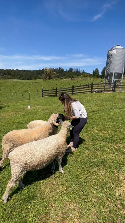 Amaro Farm - Farms Near Me - Friday Harbor, Washington