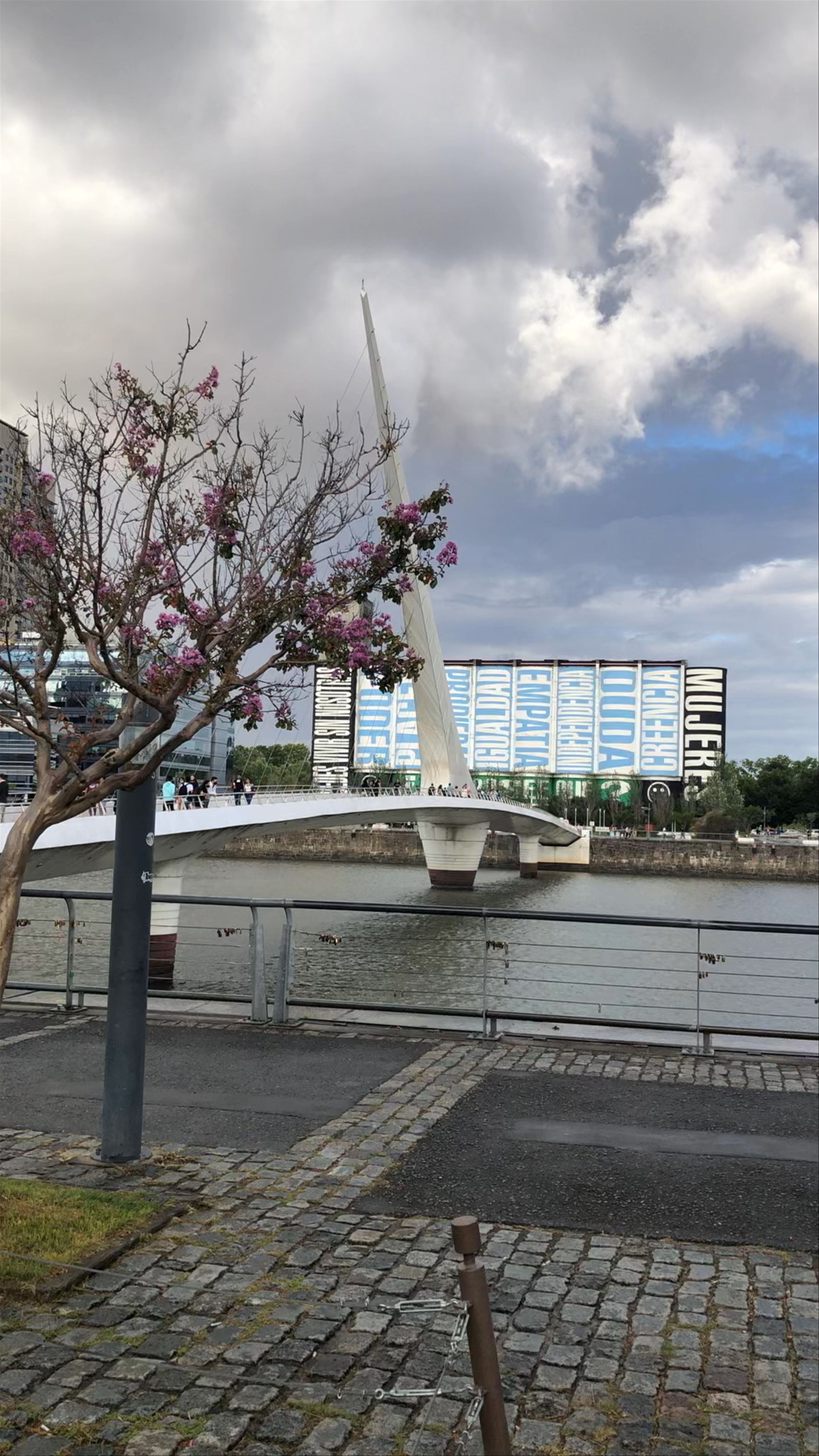 Boleo Bar and Puerto Madero Scenic Views in Buenos Aires
