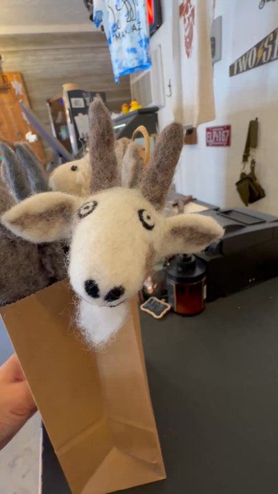 Pinnacles - The best store here!!! - Souvenir Shops Near Me - Oatman, Arizona
