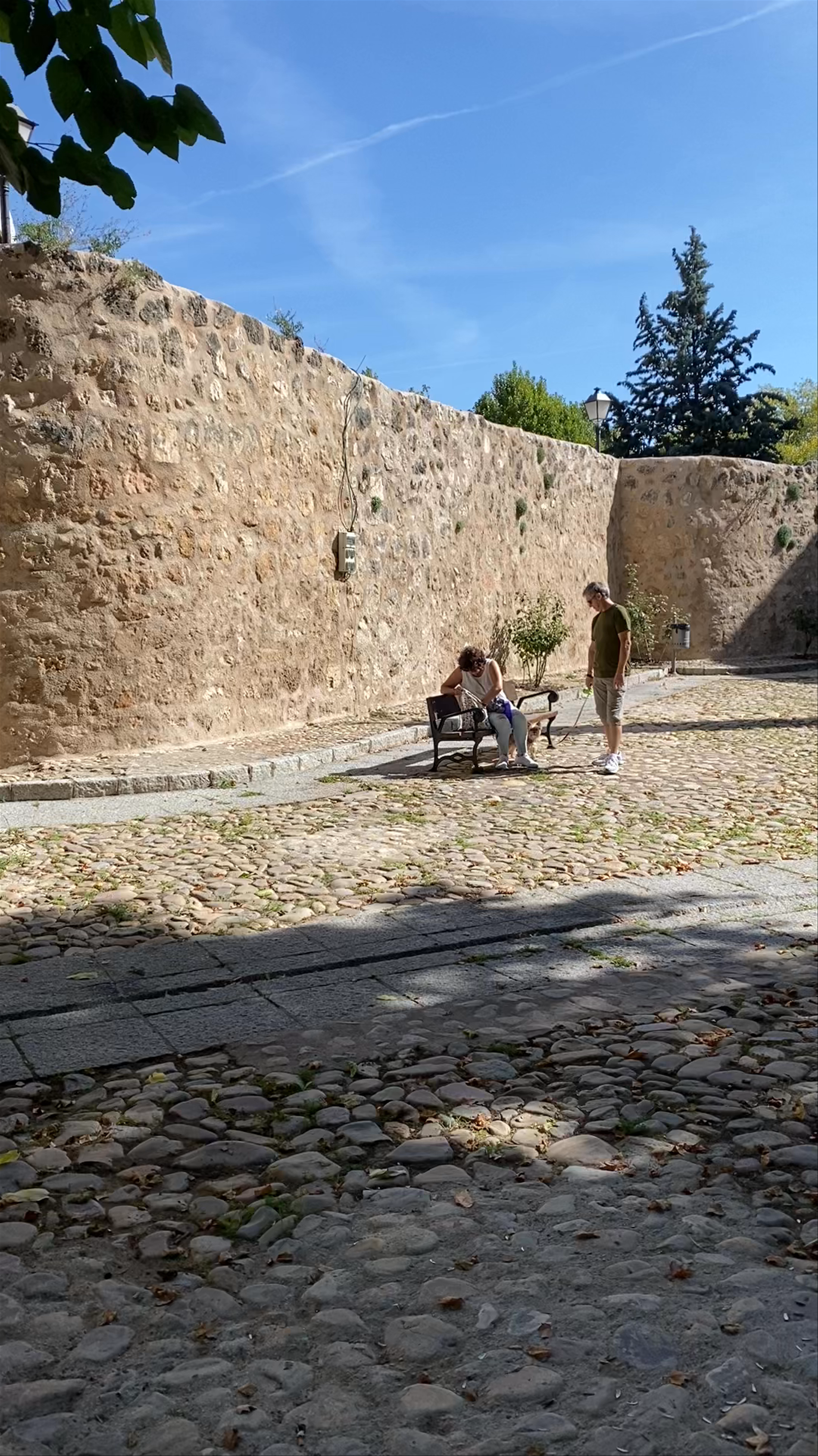 Castillo de la Piedra Bermeja