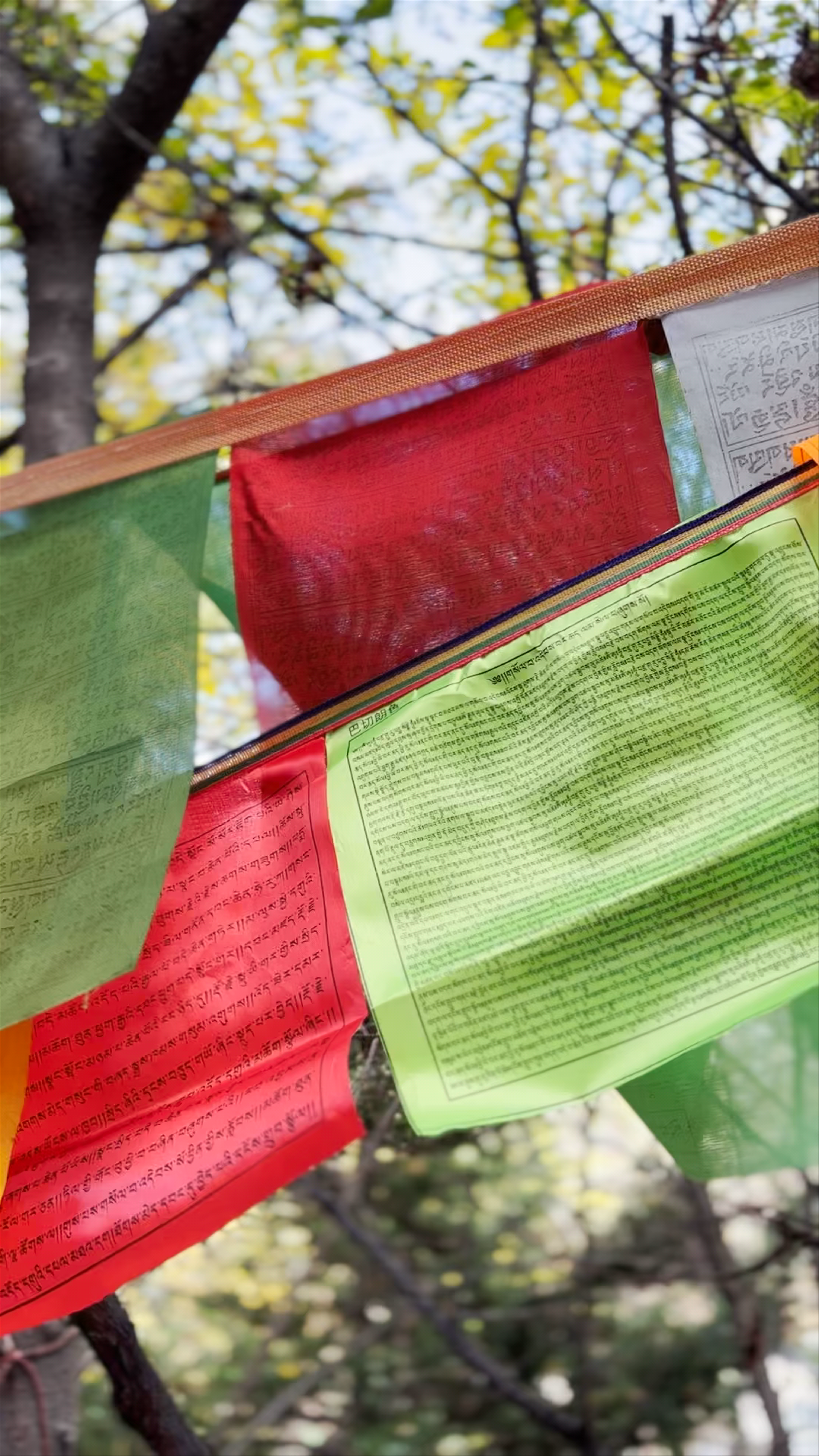 Zhongdian Sutra Depository Scenic Spot