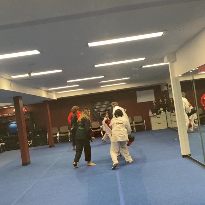 Westwind Karate Schools - My 6y.o working on fundamentals with her partner. She's shy but absolutely loved it. - Karate Near Me - Sandy, Utah