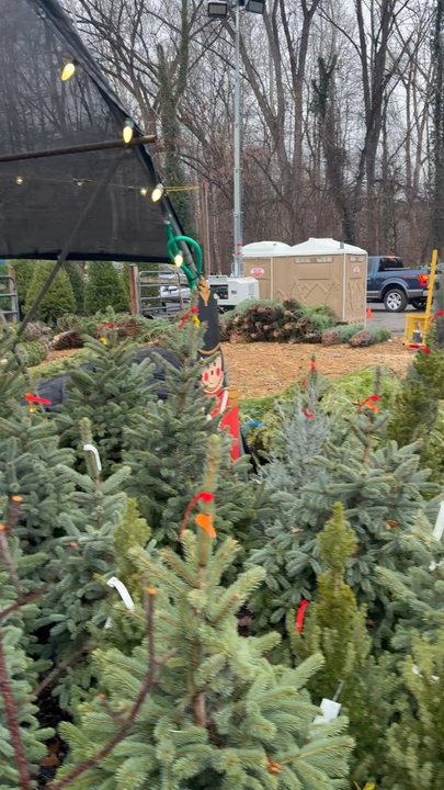 Payne Christmas Trees - Enter this way - Christmas Trees Near Me - Elkridge, Maryland