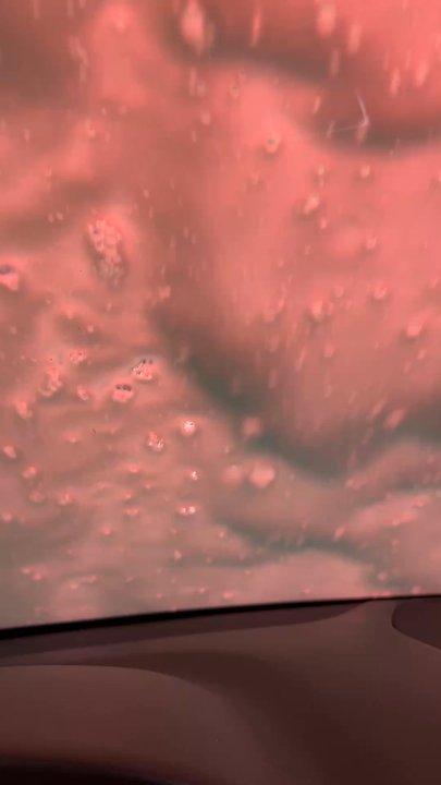 Tidal Wave Auto Spa - Car Wash Near Me - Hampstead, North Carolina