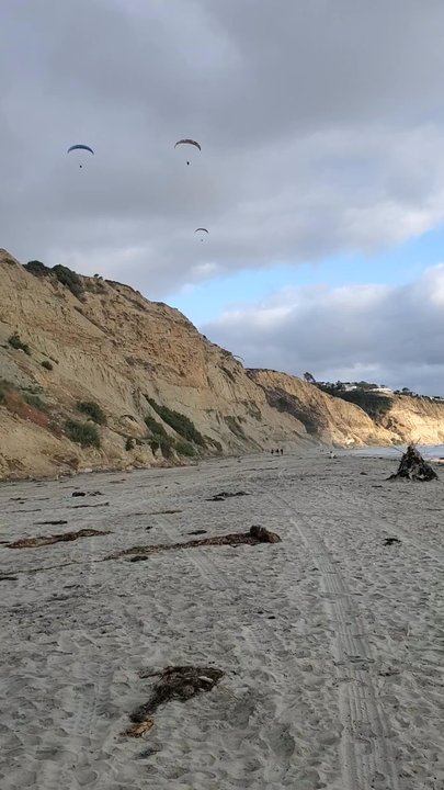 Black's Beach - Gliders over the beach - Beaches Near Me - San Diego, California