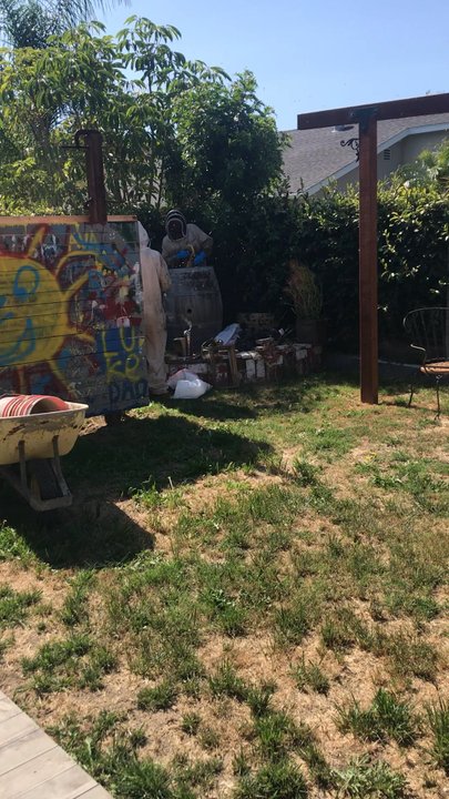 We Save Bees - We save bees came and saved us today!!! Thank you! - Pest Control Near Me - Lake Forest, California