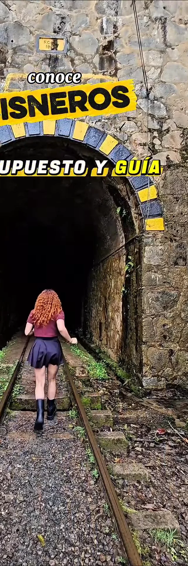 Contenido del creador