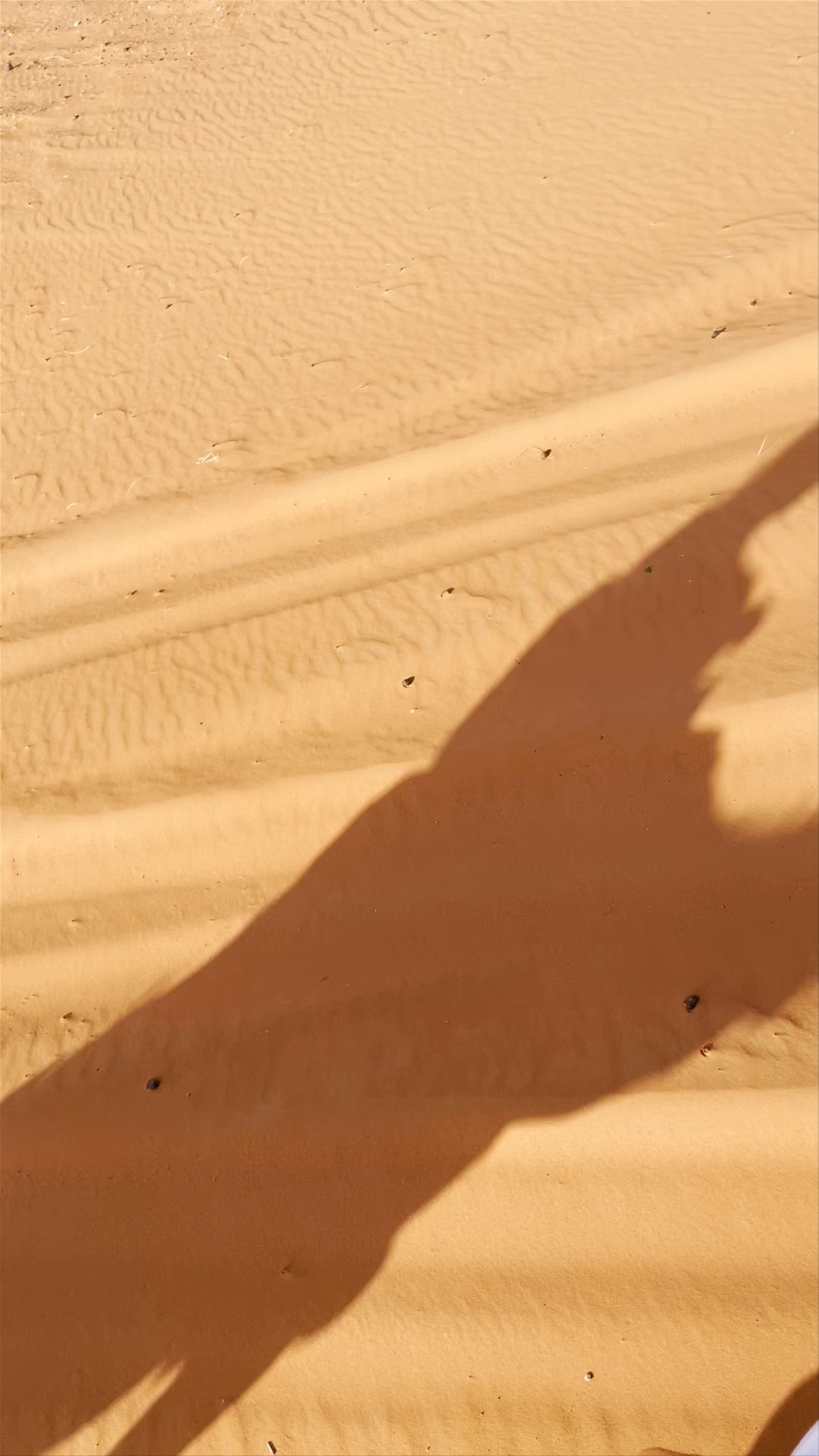 Erg Chebbi dunes