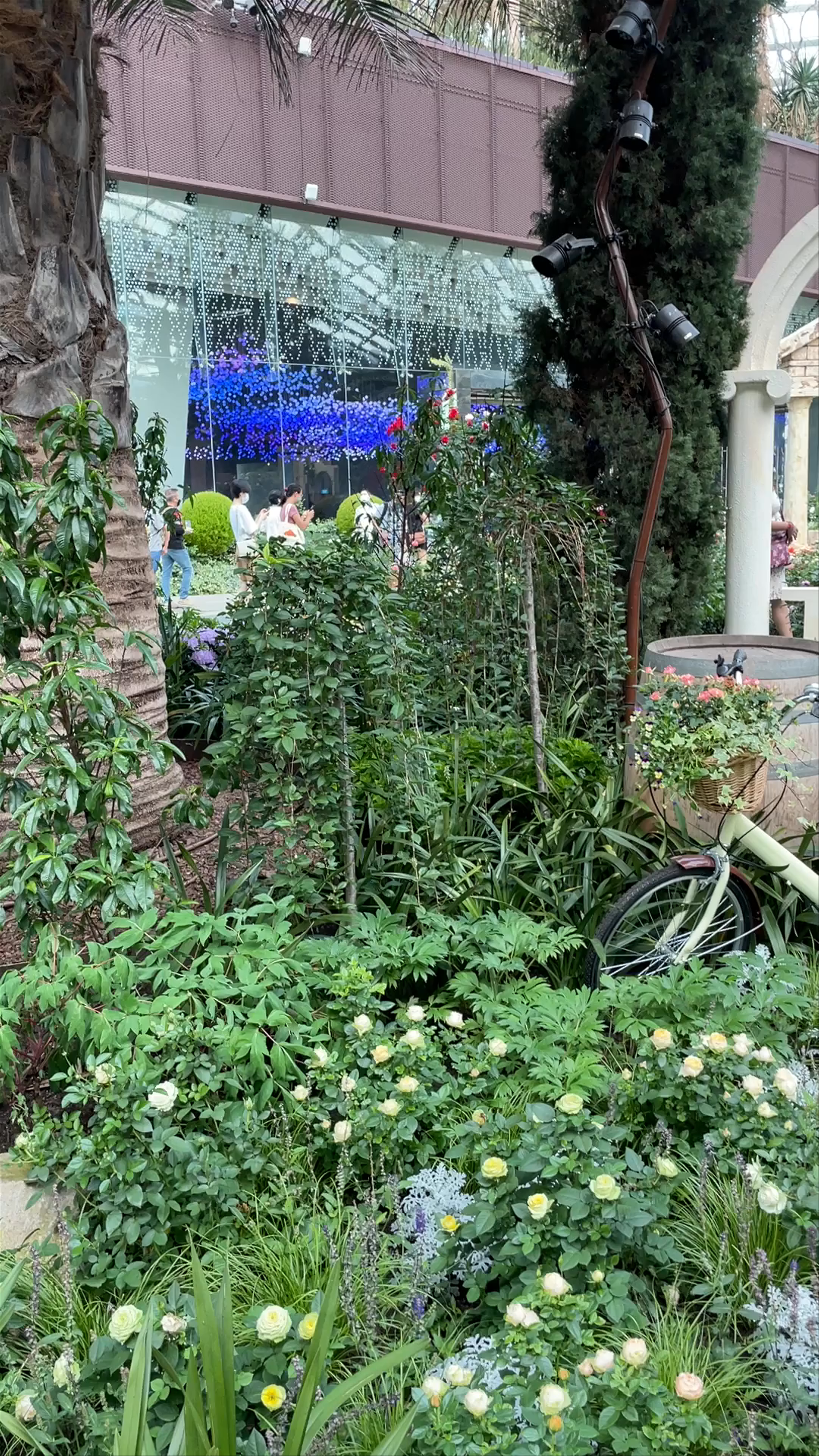 Flower Dome Serenity: A Botanical Escape at Marina Gardens Drive, Singapore