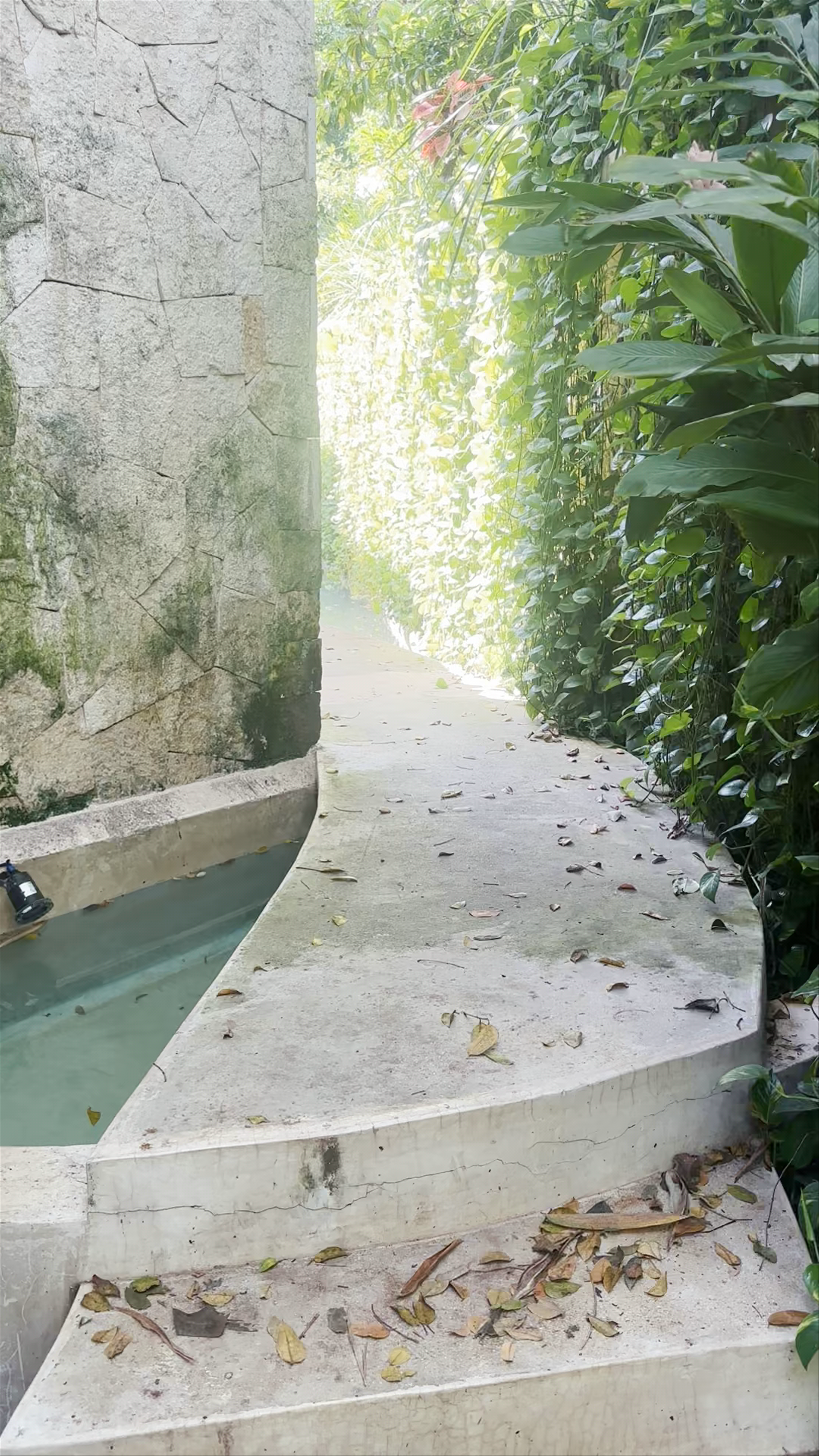 The OG´s Tulum