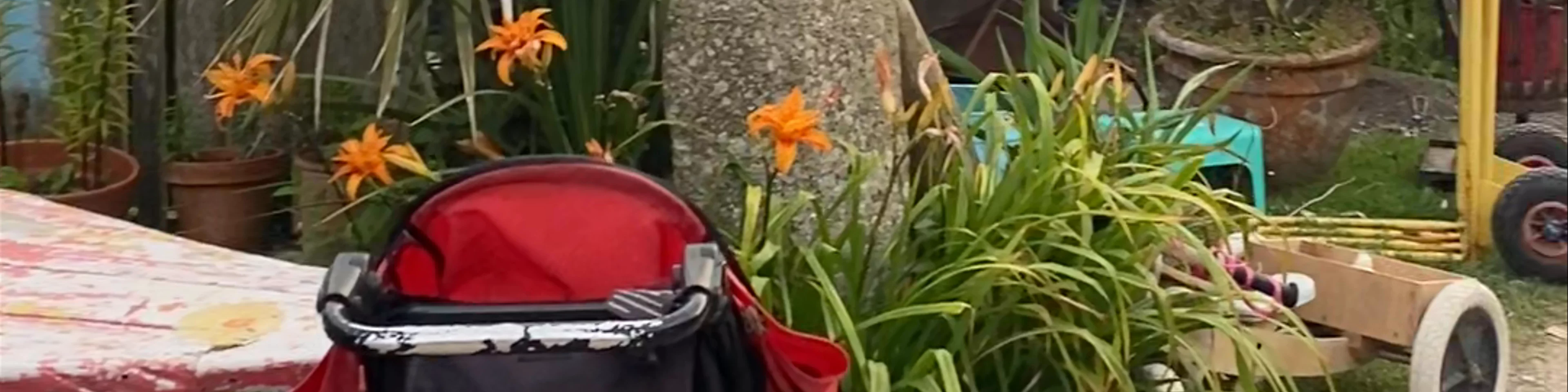 Henry's Camp Site