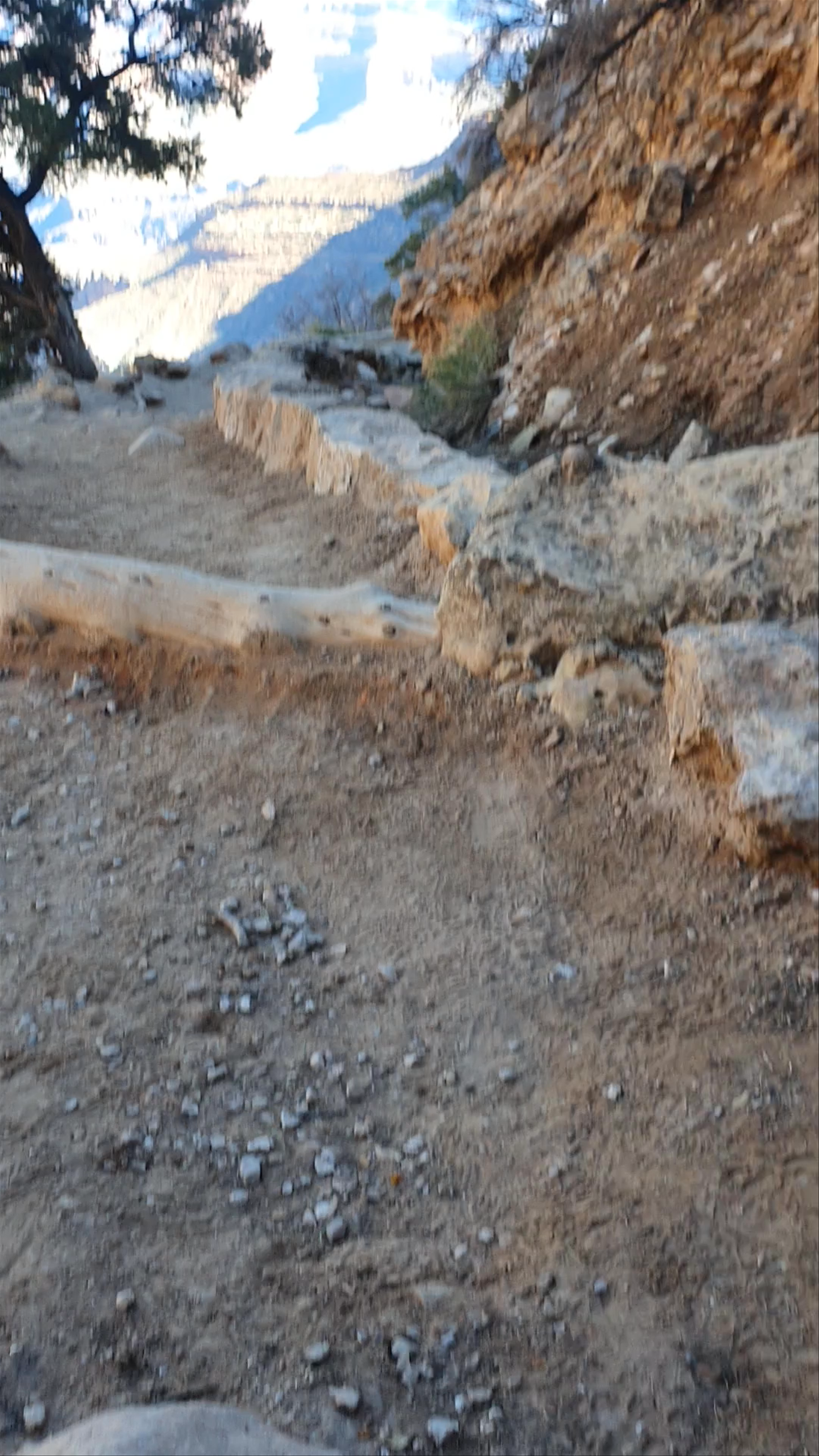 Bright Angel Trail